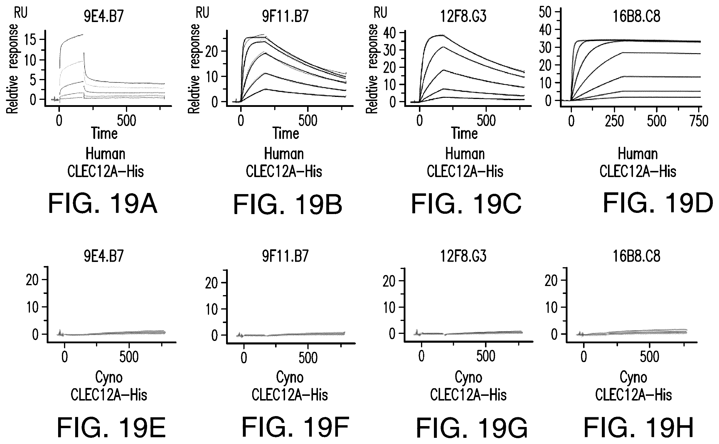 Patent US12157771 Figure 14 – Proteins binding NKG2D, CD16 and CLEC12A
