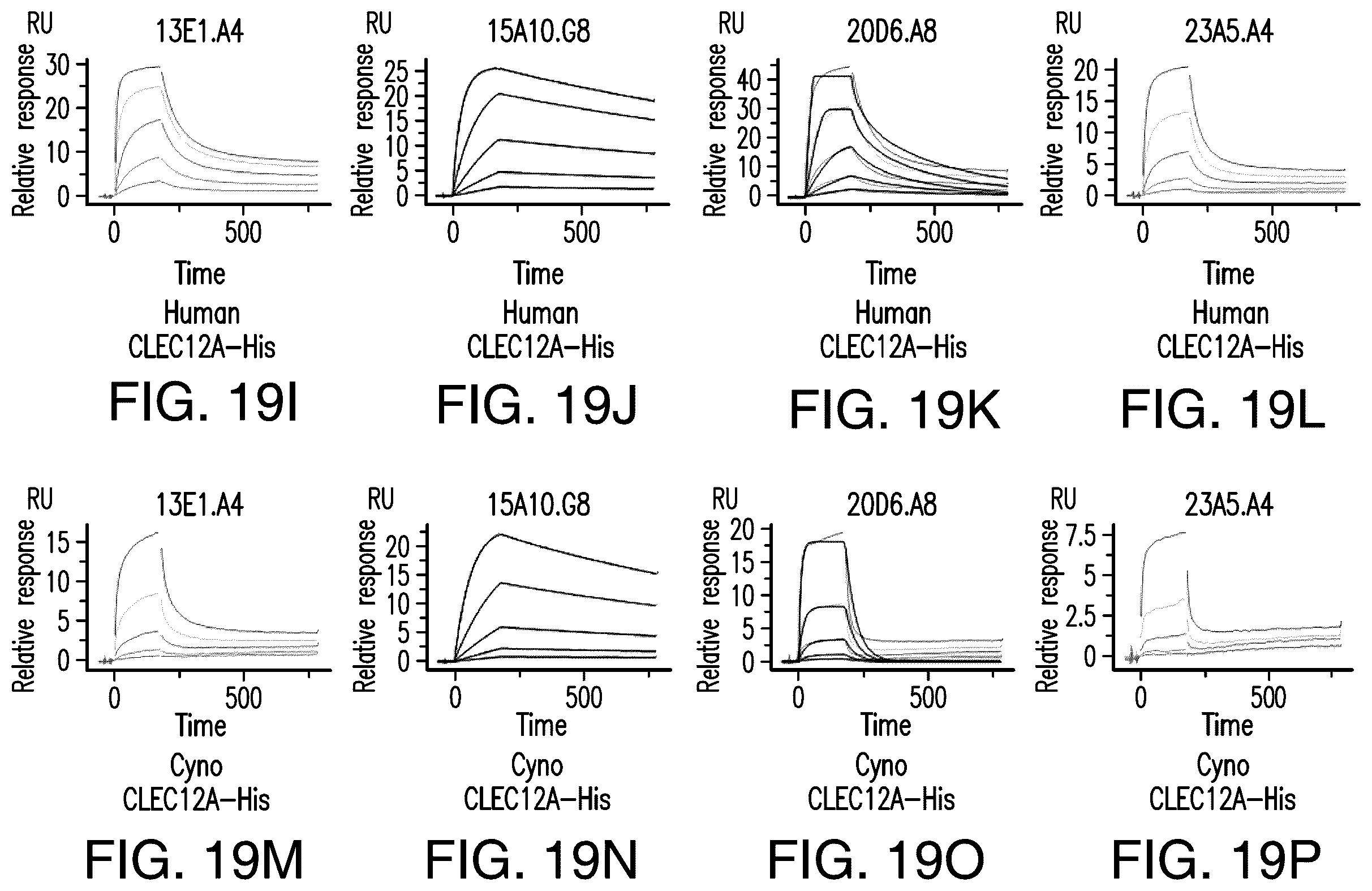Patent US12157771 Figure 15 – Proteins binding NKG2D, CD16 and CLEC12A