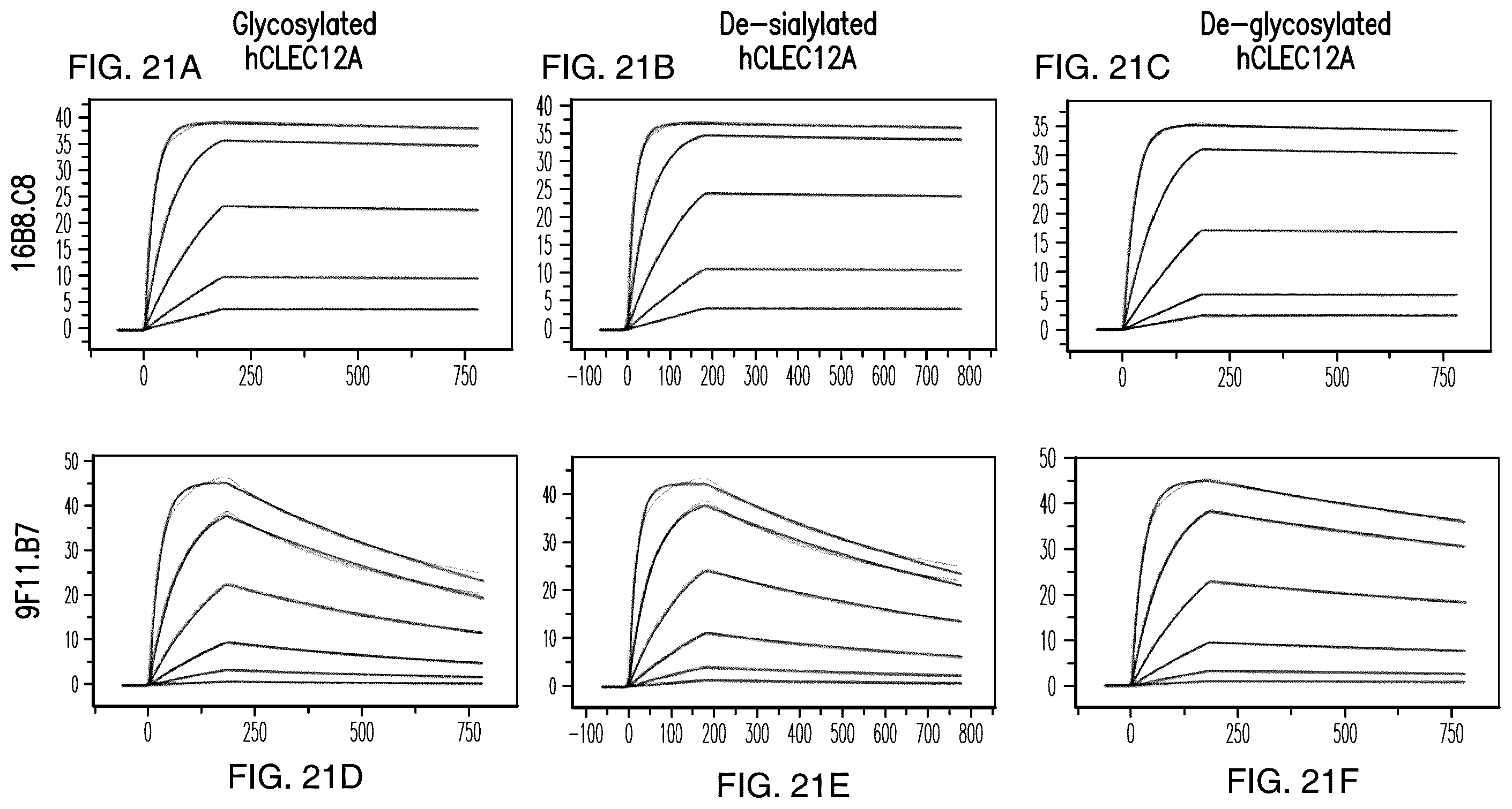 Patent US12157771 Figure 17 – Proteins binding NKG2D, CD16 and CLEC12A