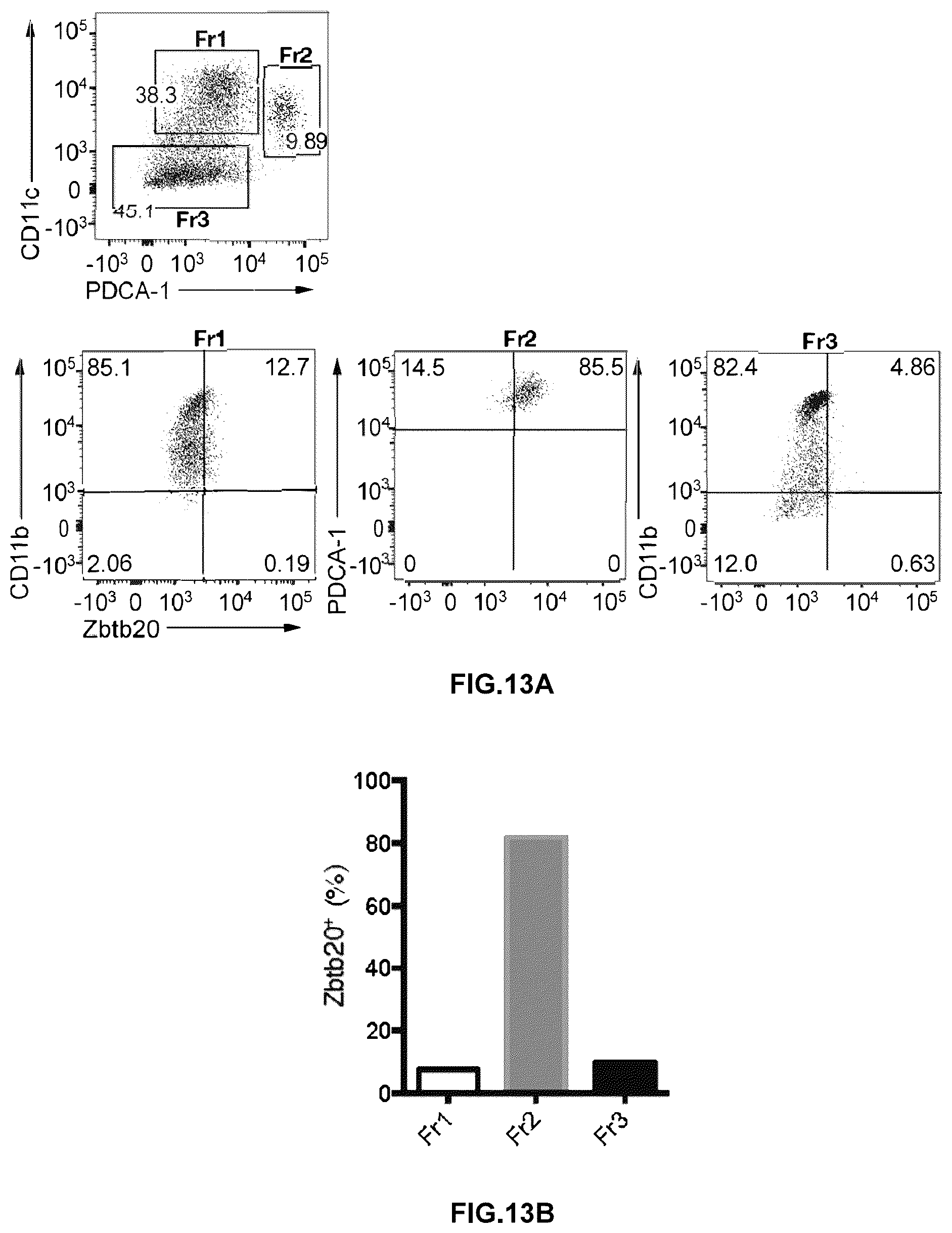 Patent US12157772 Figure 13 – Prophylactic agent, onset-suppressing agent or therapeutic agent for progressive immune demyelinating diseases