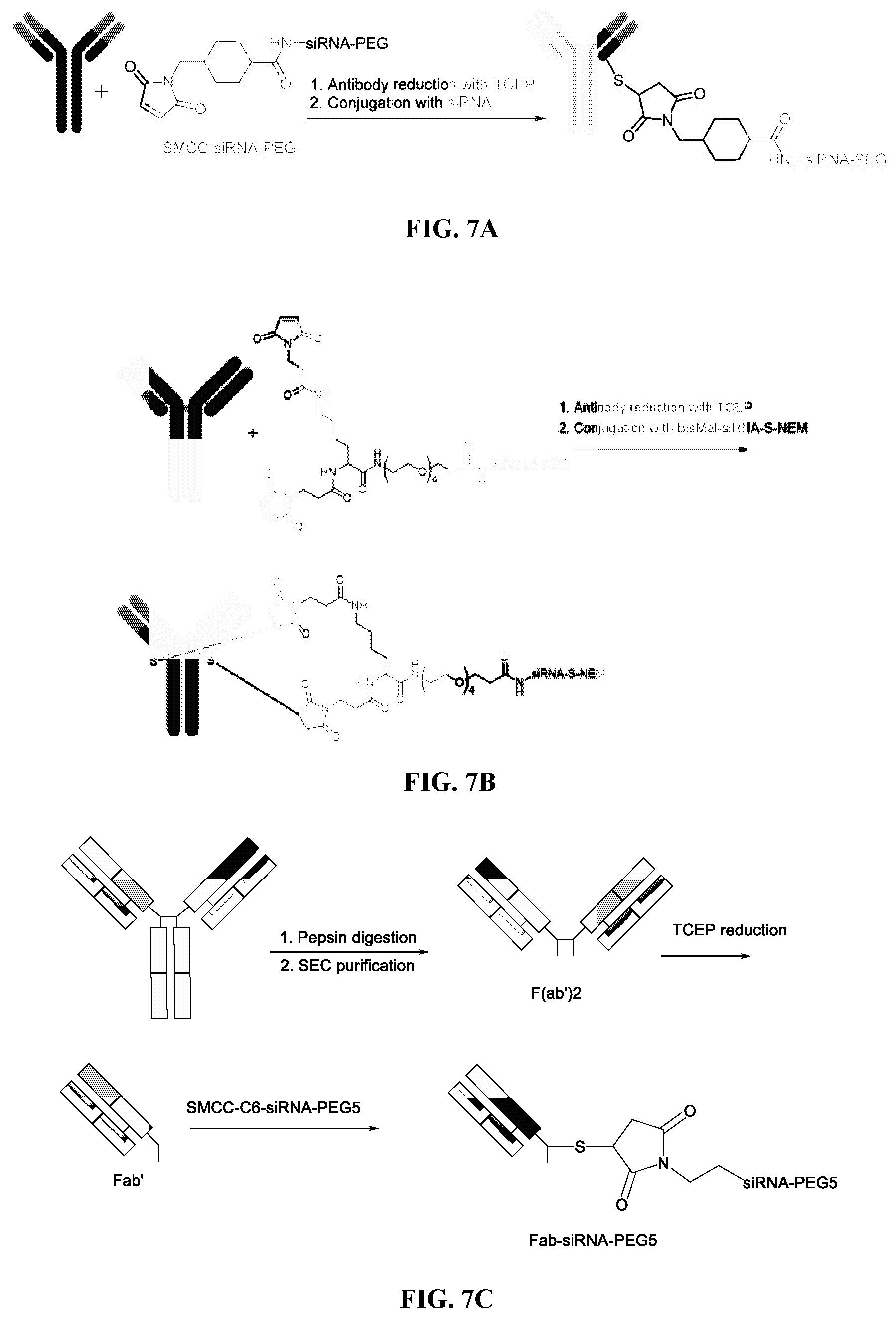 Patent US12157774 Figure 10 – Compositions and methods of treating facioscapulohumeral muscular dystrophy