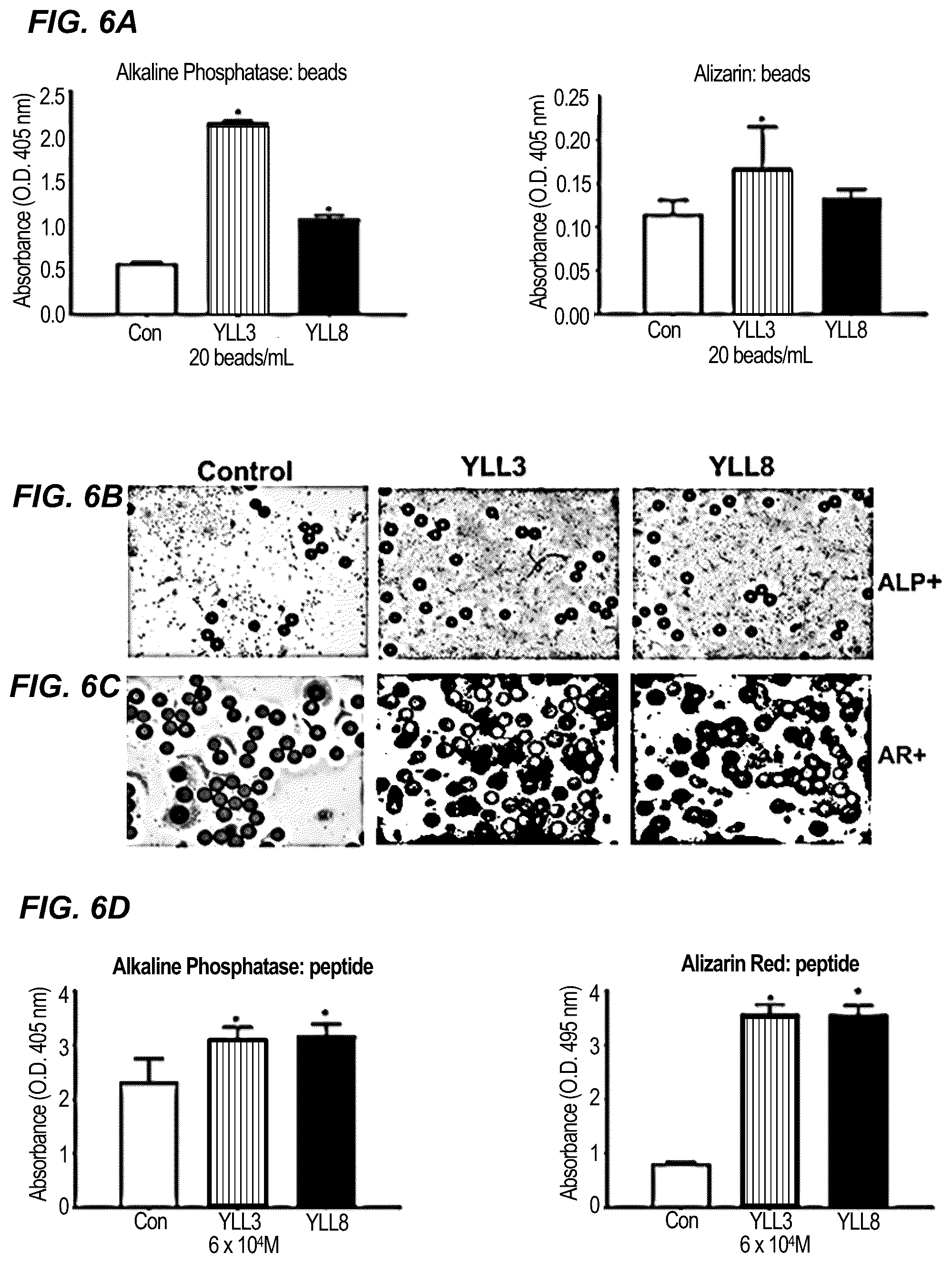 Patent US12157778 Figure 6 – Peptides for activation of cell signaling in osteoprogenitor cells