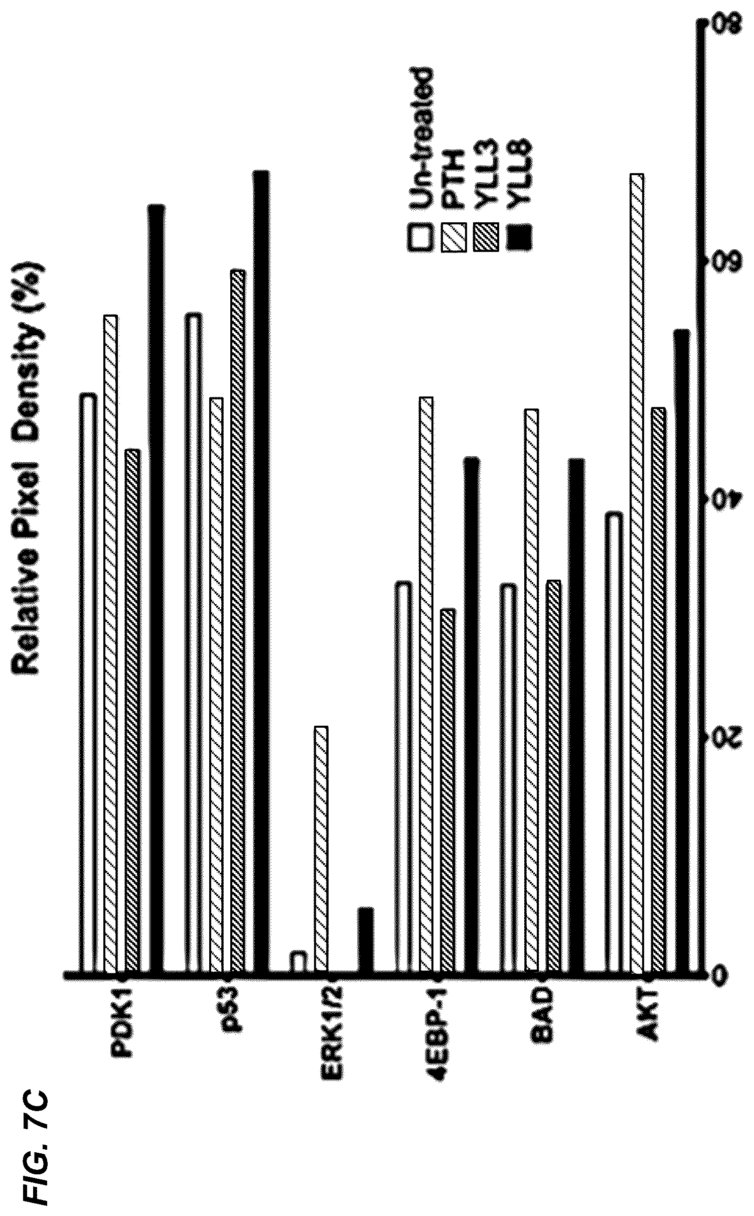Patent US12157778 Figure 8 – Peptides for activation of cell signaling in osteoprogenitor cells