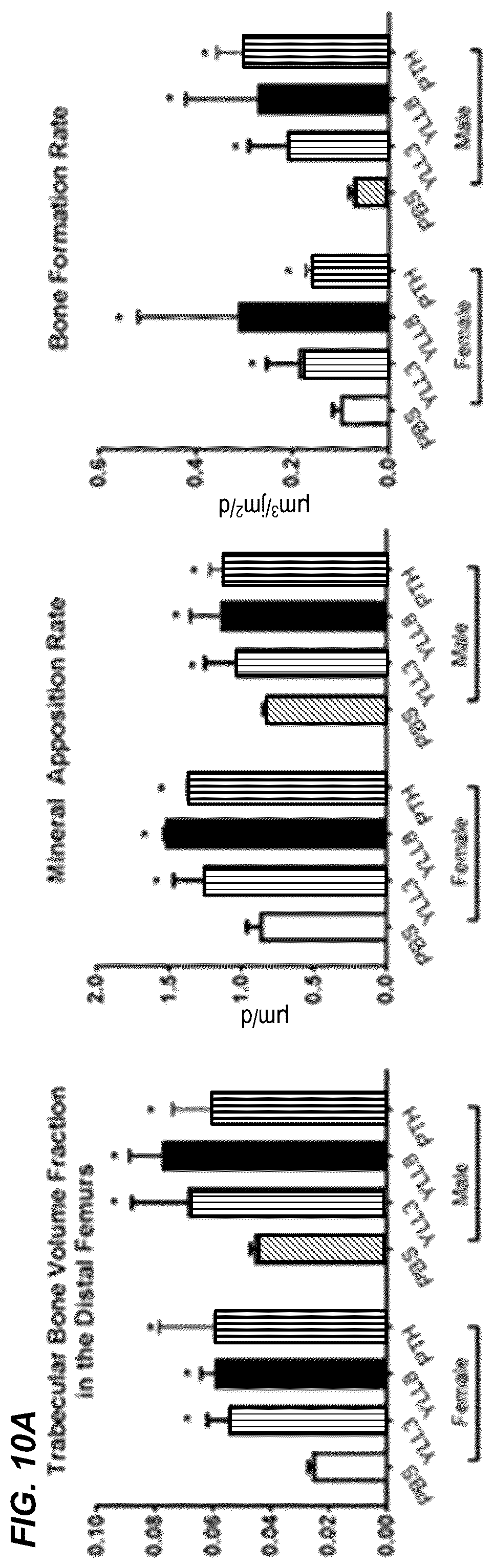 Patent US12157778 Figure 12 – Peptides for activation of cell signaling in osteoprogenitor cells