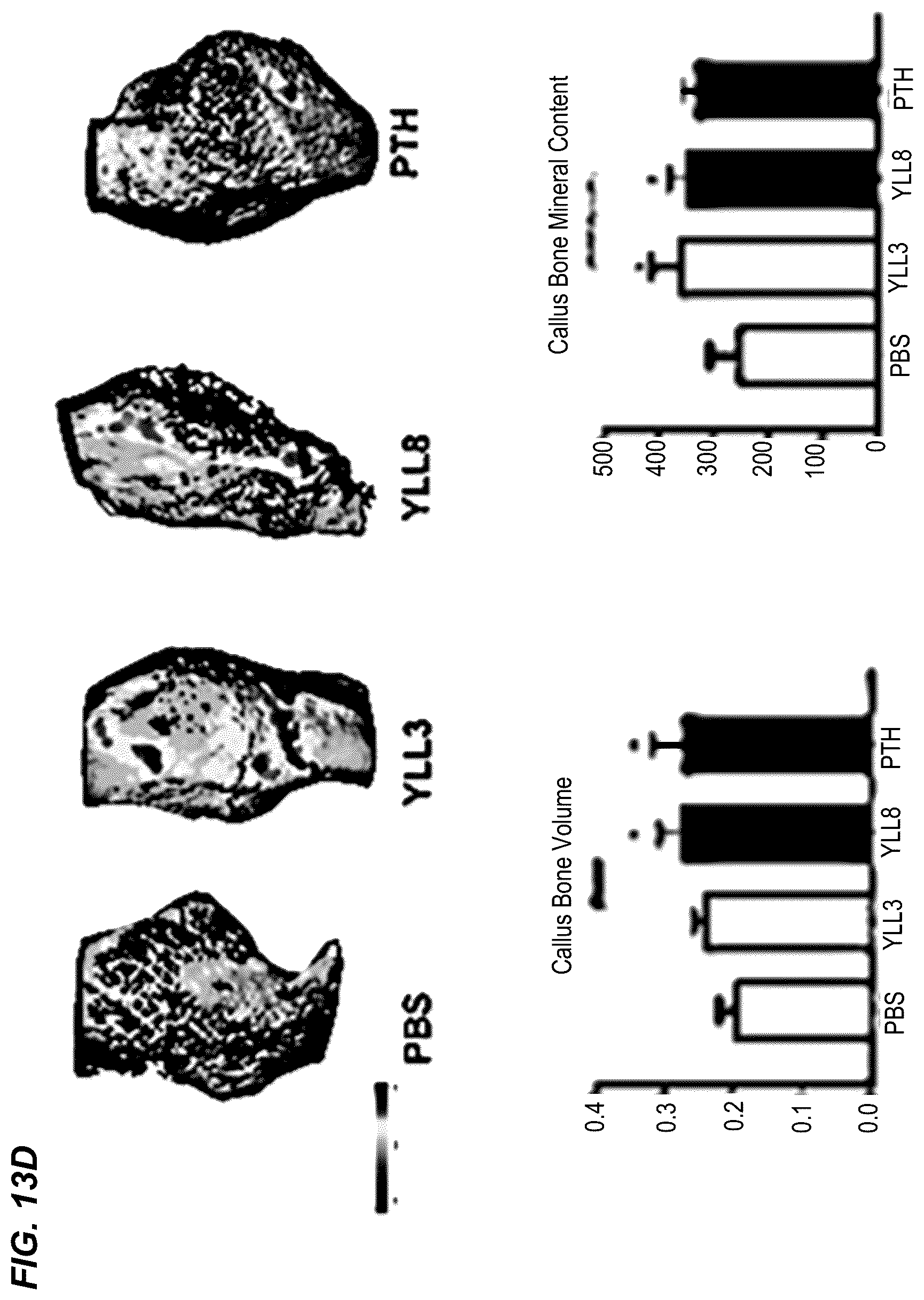 Patent US12157778 Figure 19 – Peptides for activation of cell signaling in osteoprogenitor cells