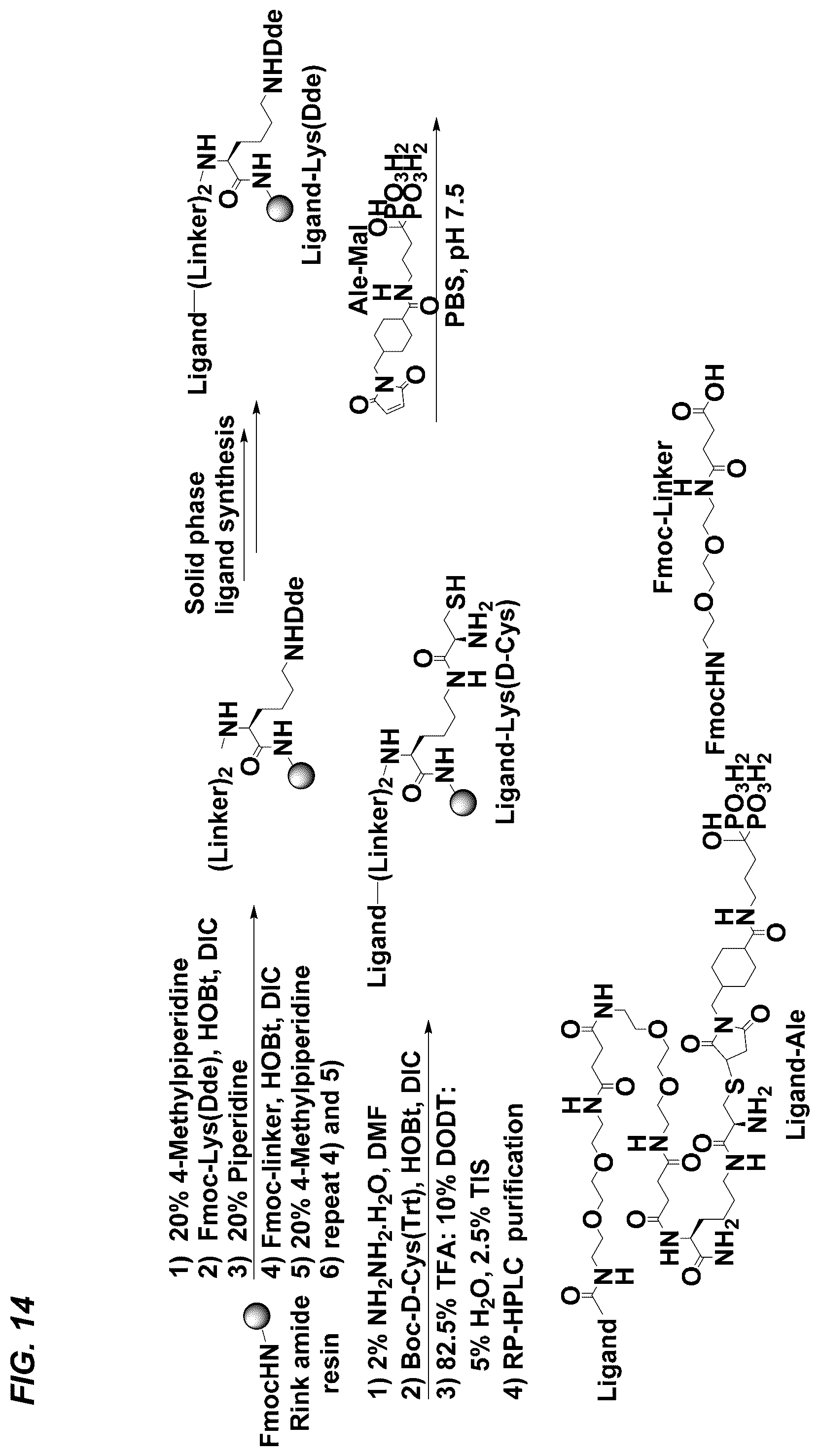 Patent US12157778 Figure 20 – Peptides for activation of cell signaling in osteoprogenitor cells