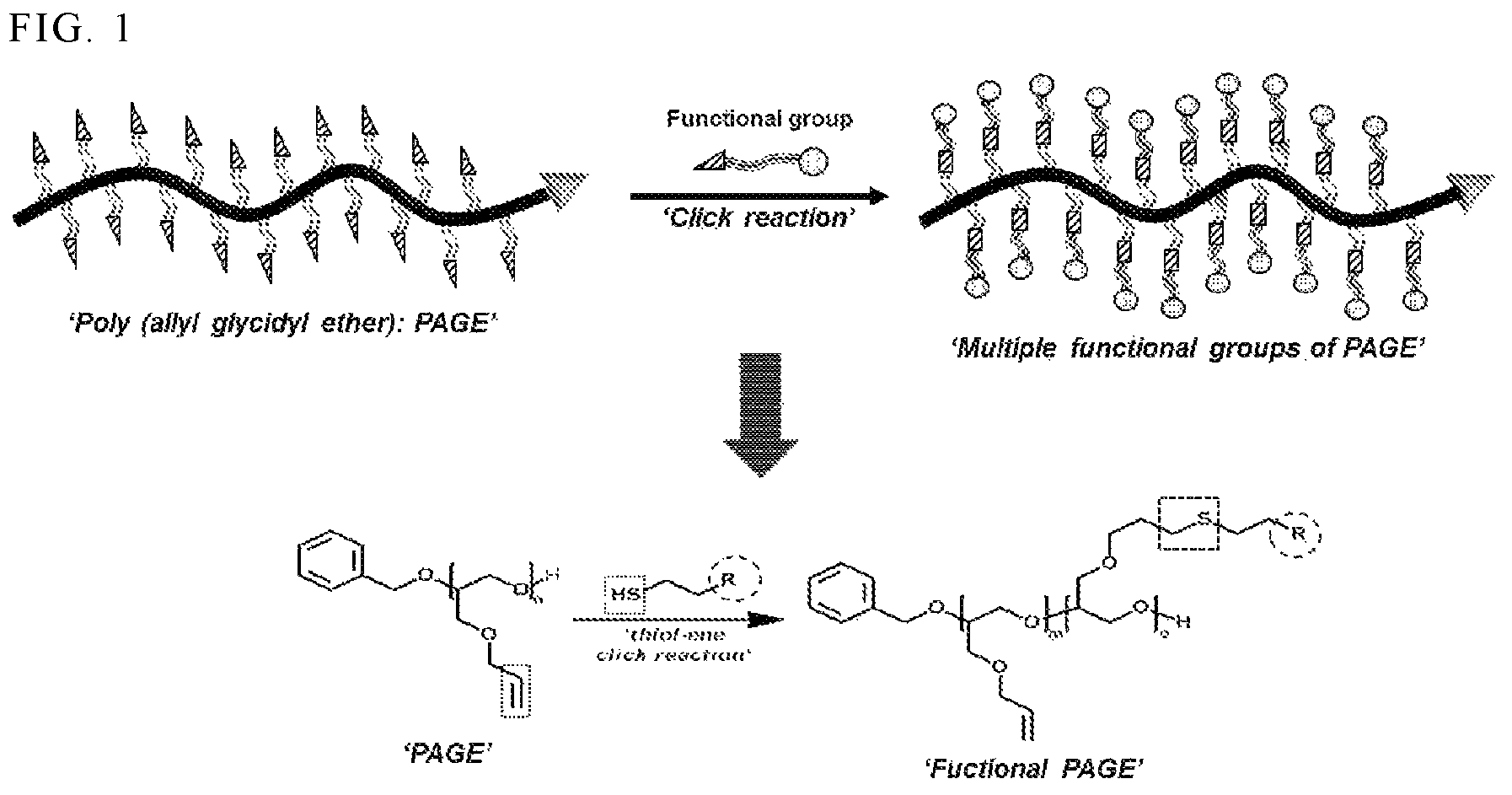 Patent US12157785 — Poly(allyl glycidyl ether)-based redox polymer and electrochemical biosensor using same — Figure 1