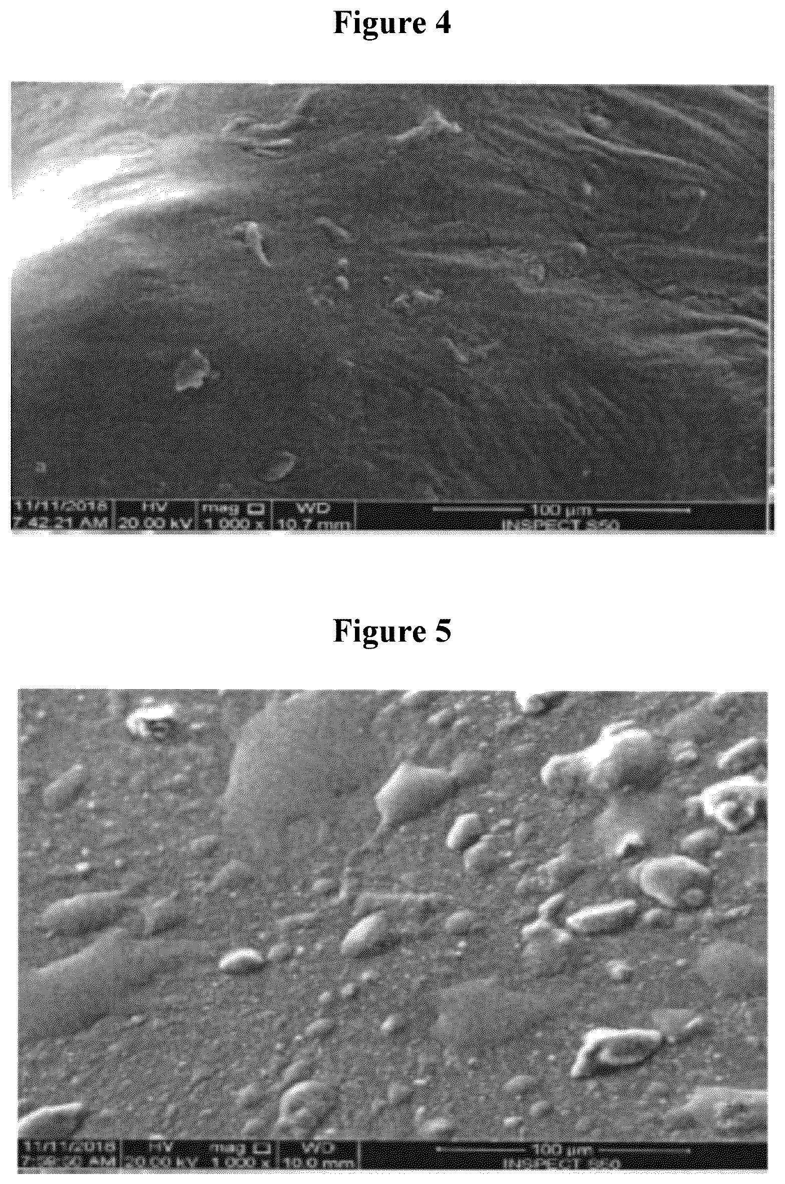 Patent US12157788 Figure 4 – Phosphonic hydrogel synthesis method
