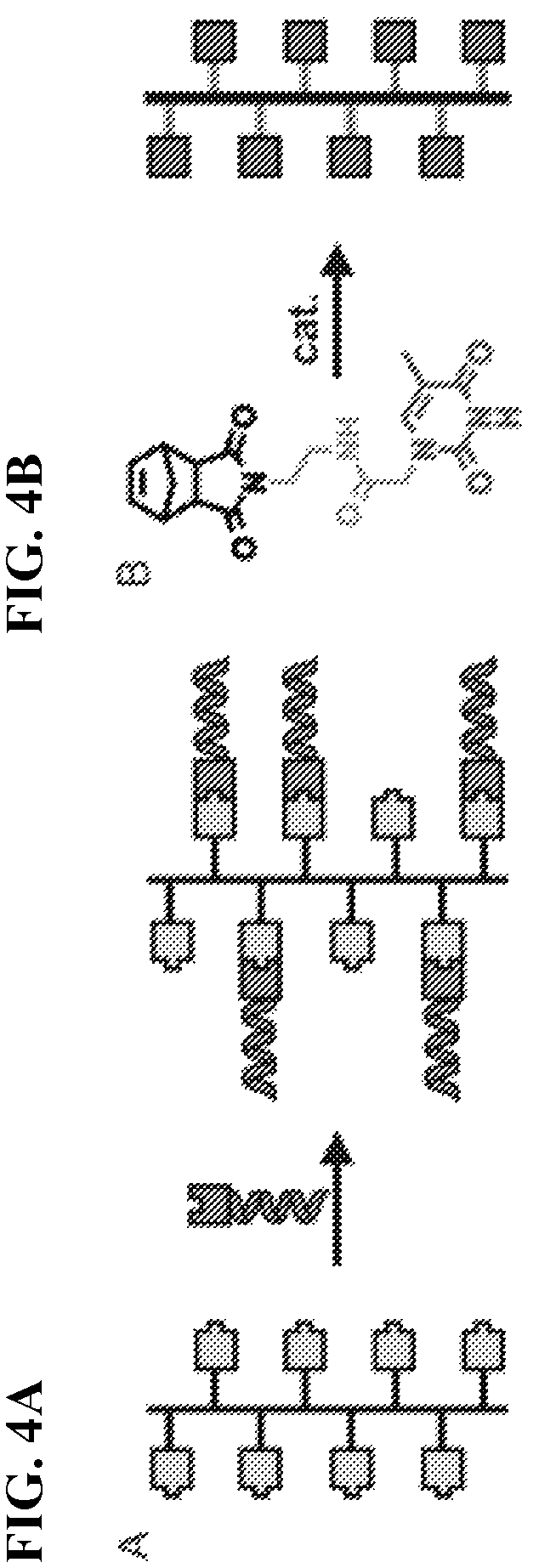 Patent US12157791 Figure 5 – Compositions and methods of making polymerized nucleic acids