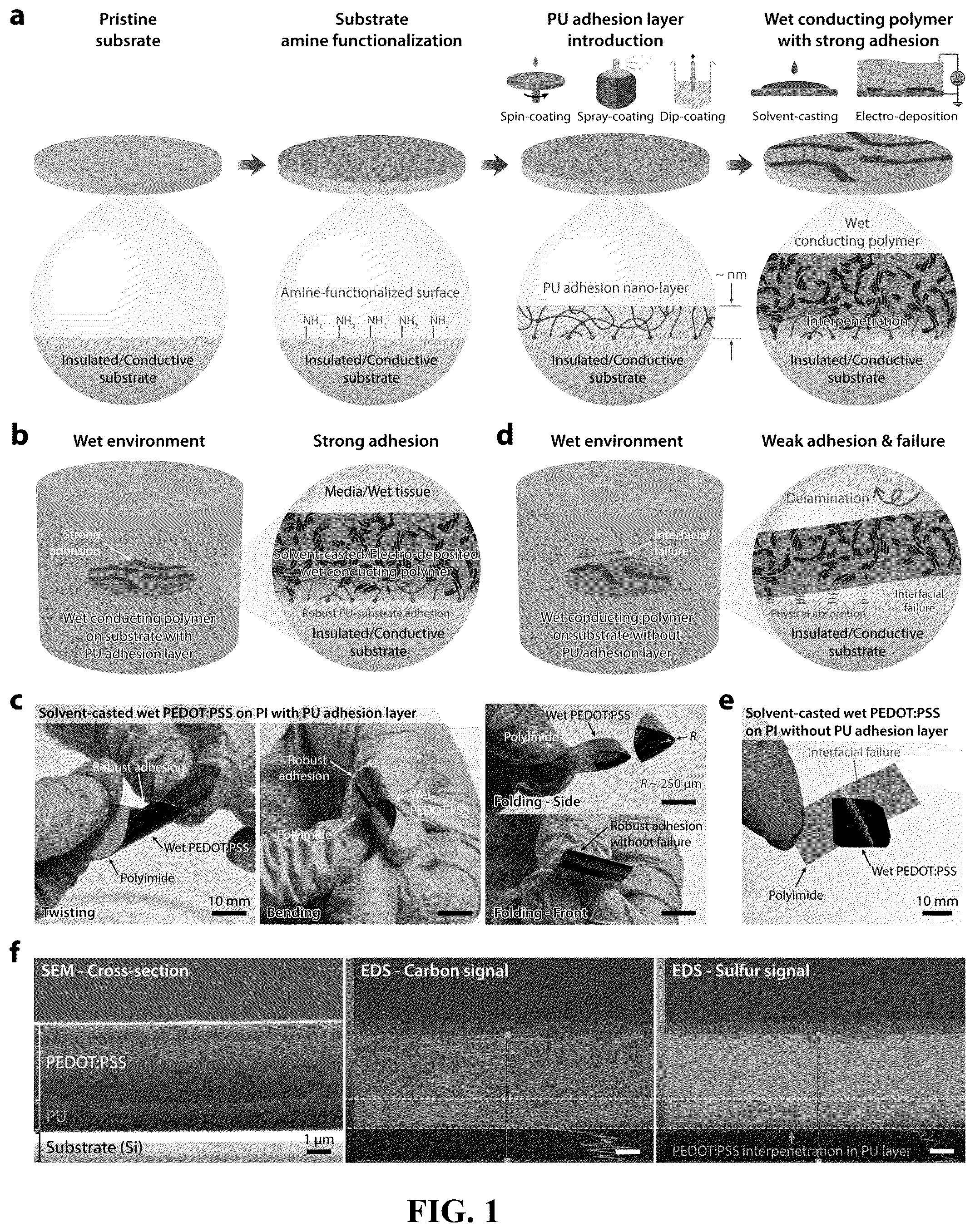 Patent US12157801 Figure 1 – Strong adhesion of conducting polymers on diverse substrates