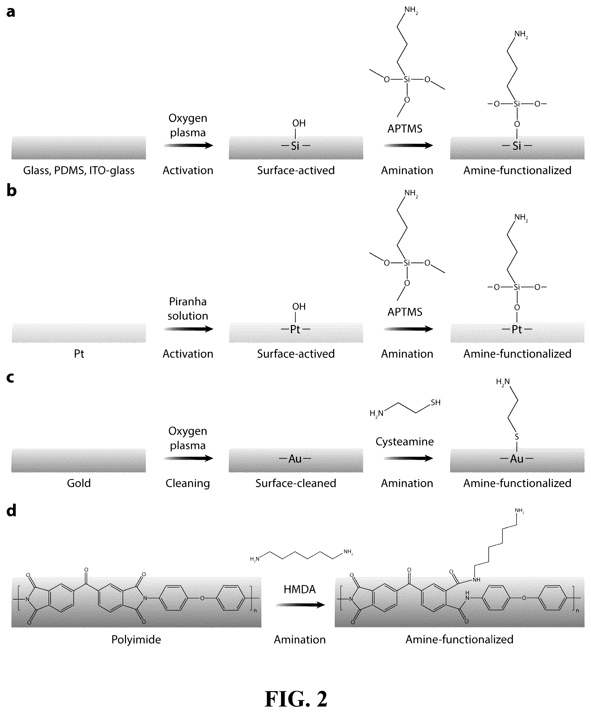 Patent US12157801 Figure 2 – Strong adhesion of conducting polymers on diverse substrates
