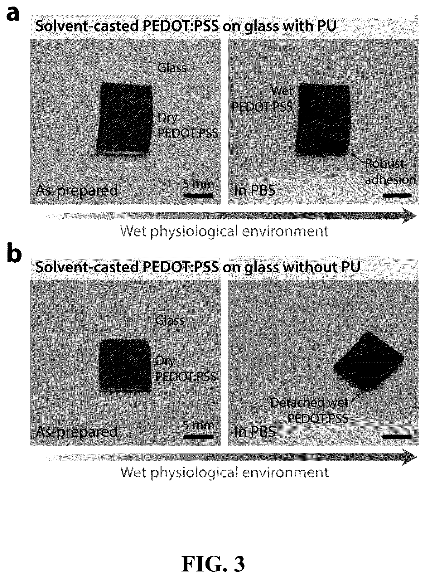 Patent US12157801 Figure 3 – Strong adhesion of conducting polymers on diverse substrates