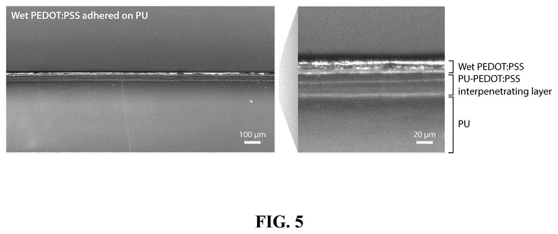 Patent US12157801 Figure 5 – Strong adhesion of conducting polymers on diverse substrates