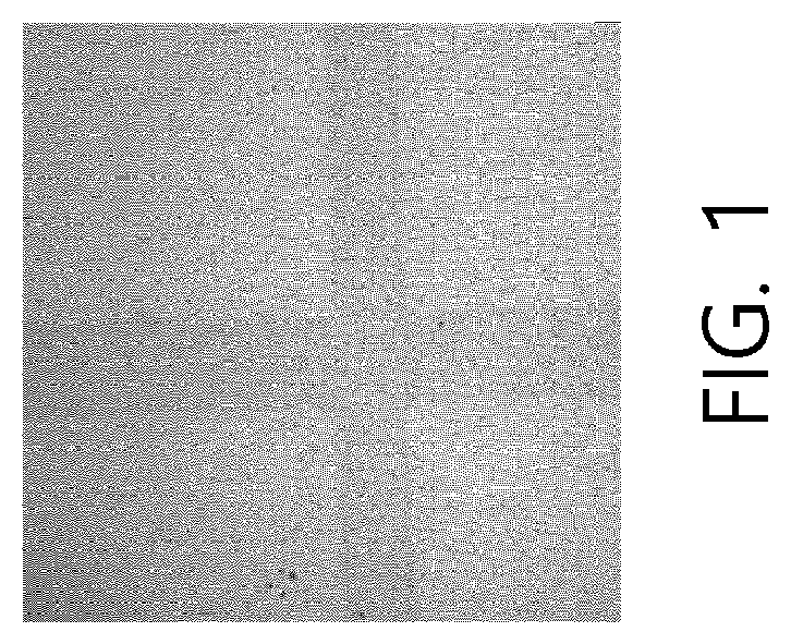Patent US12157802 — Polyimide film comprising two or more fillers with different particle diameters and electronic apparatus comprising same — Figure 1