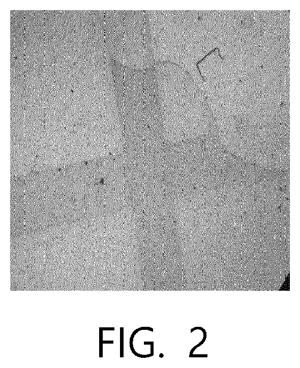 Patent US12157802 Figure 2 – Polyimide film comprising two or more fillers with different particle diameters and electronic apparatus comprising same