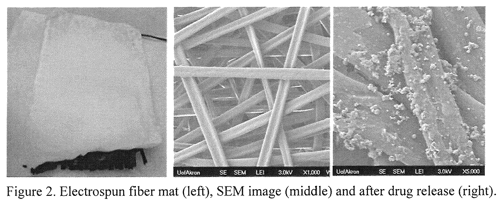 Patent US12157810 Figure 2 – Filled uncured rubber compound for less lethal ammunition and drug-eluting electrospun fiber mat