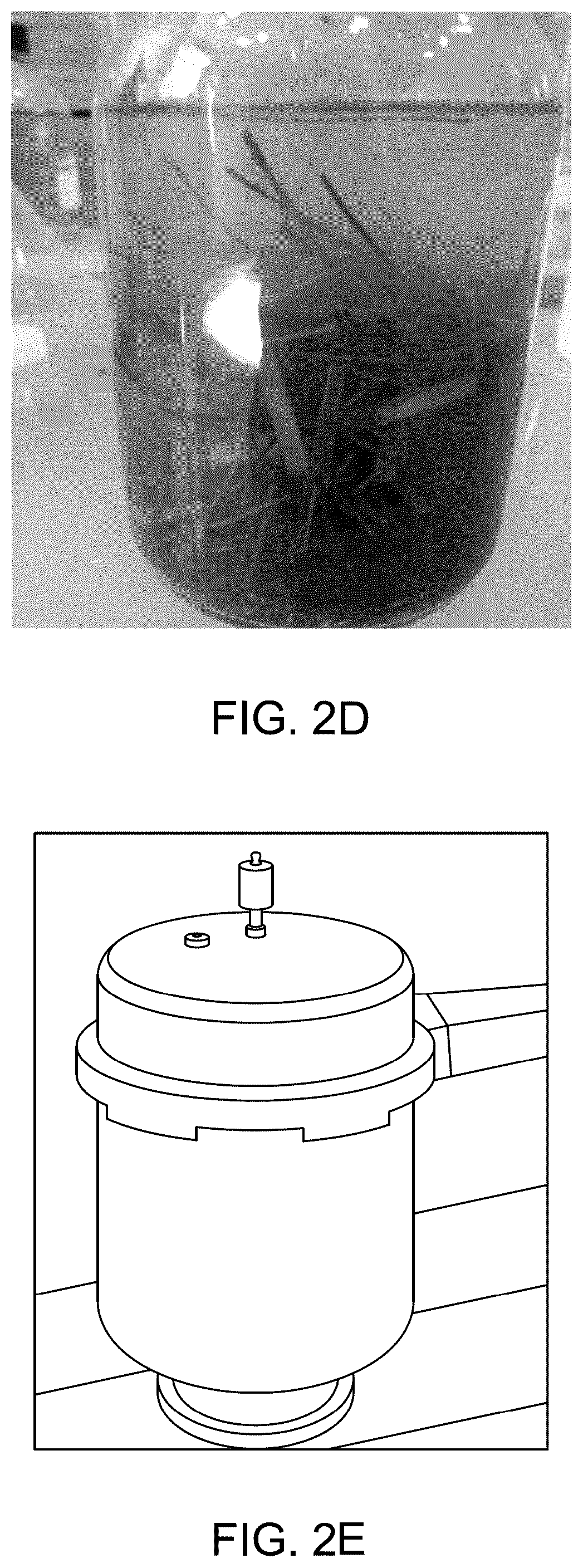 Patent US12157824 Figure 5 – Method for making biodegradable wearable film