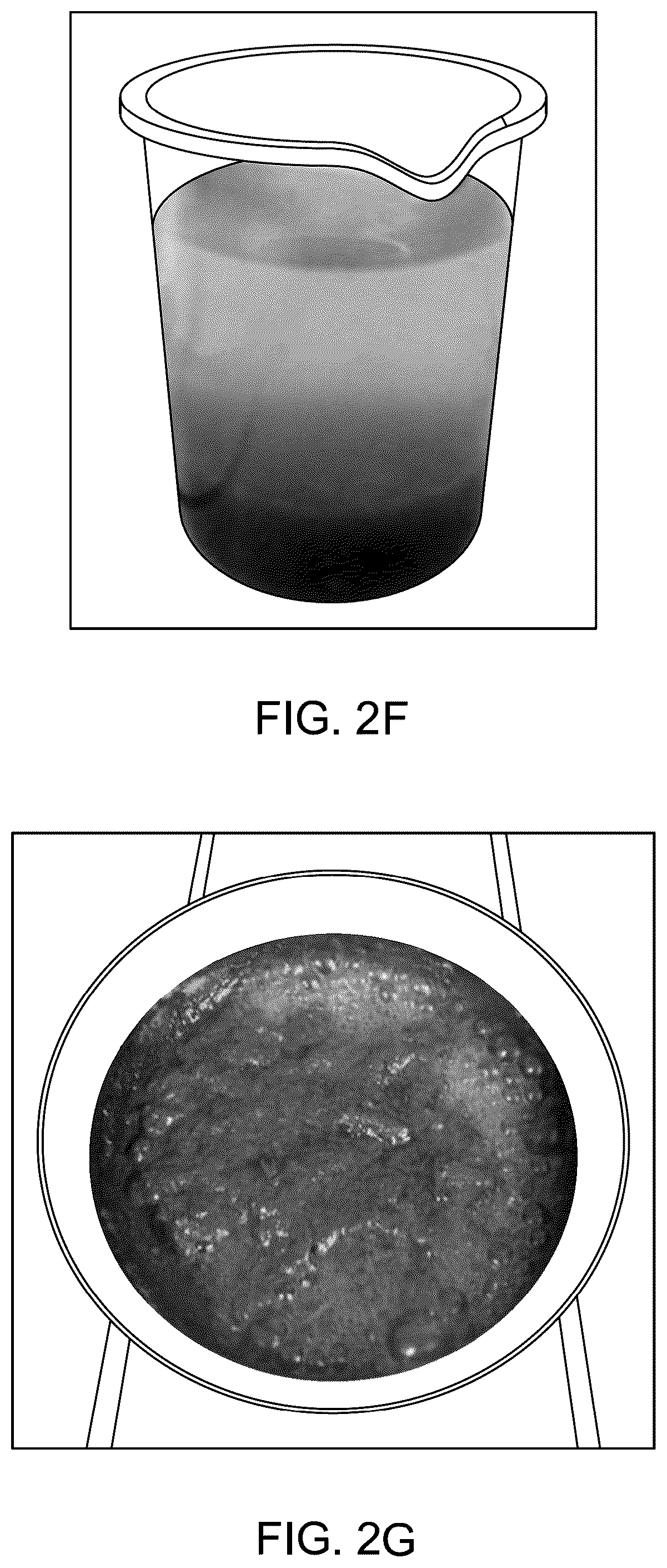 Patent US12157824 Figure 6 – Method for making biodegradable wearable film