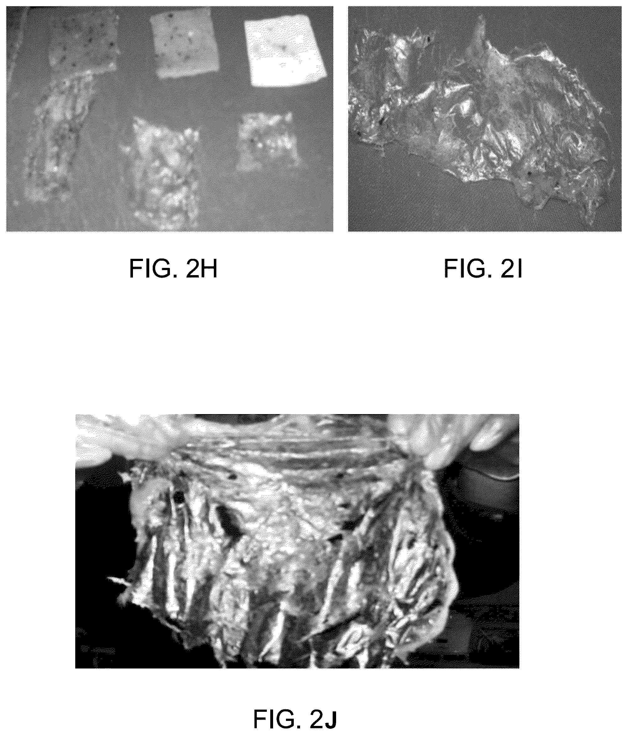 Patent US12157824 Figure 7 – Method for making biodegradable wearable film