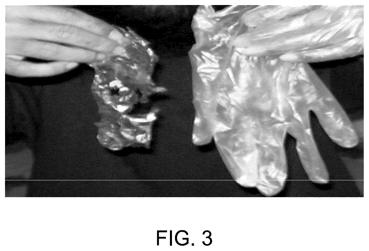 Patent US12157824 Figure 8 – Method for making biodegradable wearable film