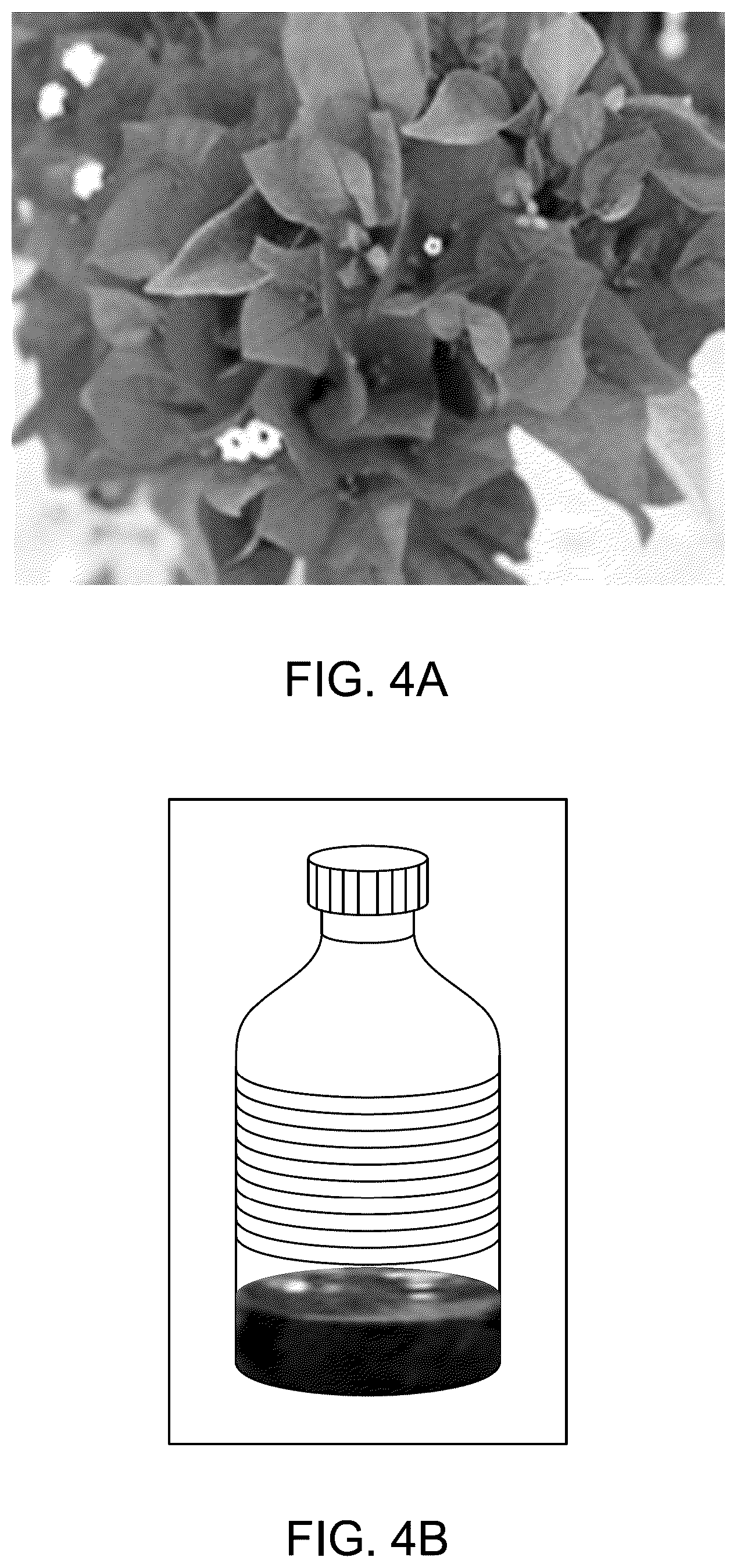 Patent US12157824 Figure 9 – Method for making biodegradable wearable film