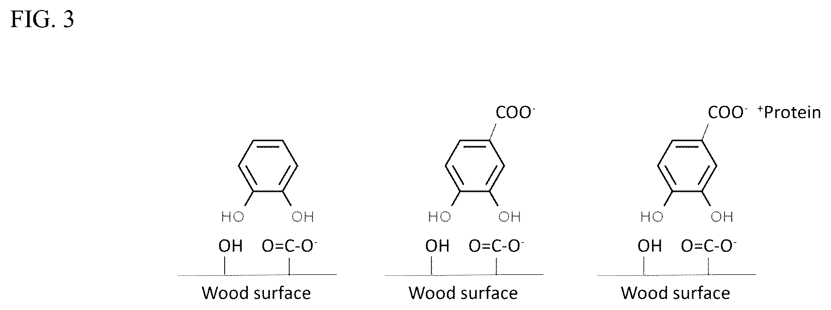 Patent US12157843 Figure 3 – Enhanced adhesion of cottonseed protein with catechol-containing promoters