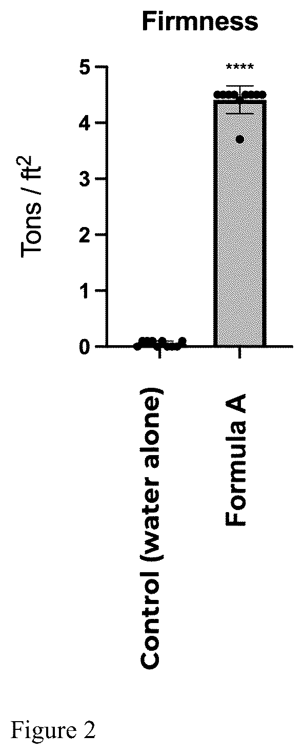 Patent US12157850 Figure 2 – Conditioning composition for optimizing soil or sand surface conditions