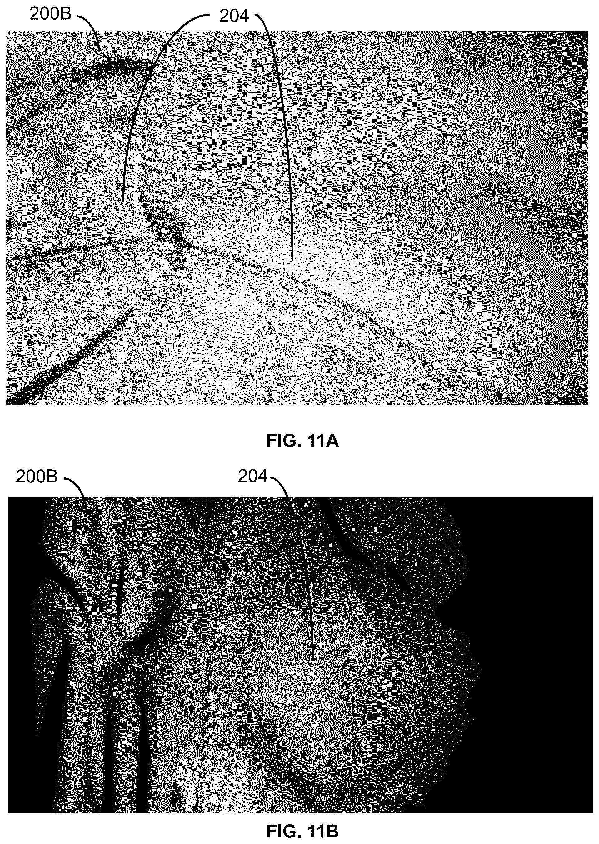 Patent US12157869 Figure 13 – Methods and compositions for reducing persistent odor in clothing and mitigating biofilms on various materials
