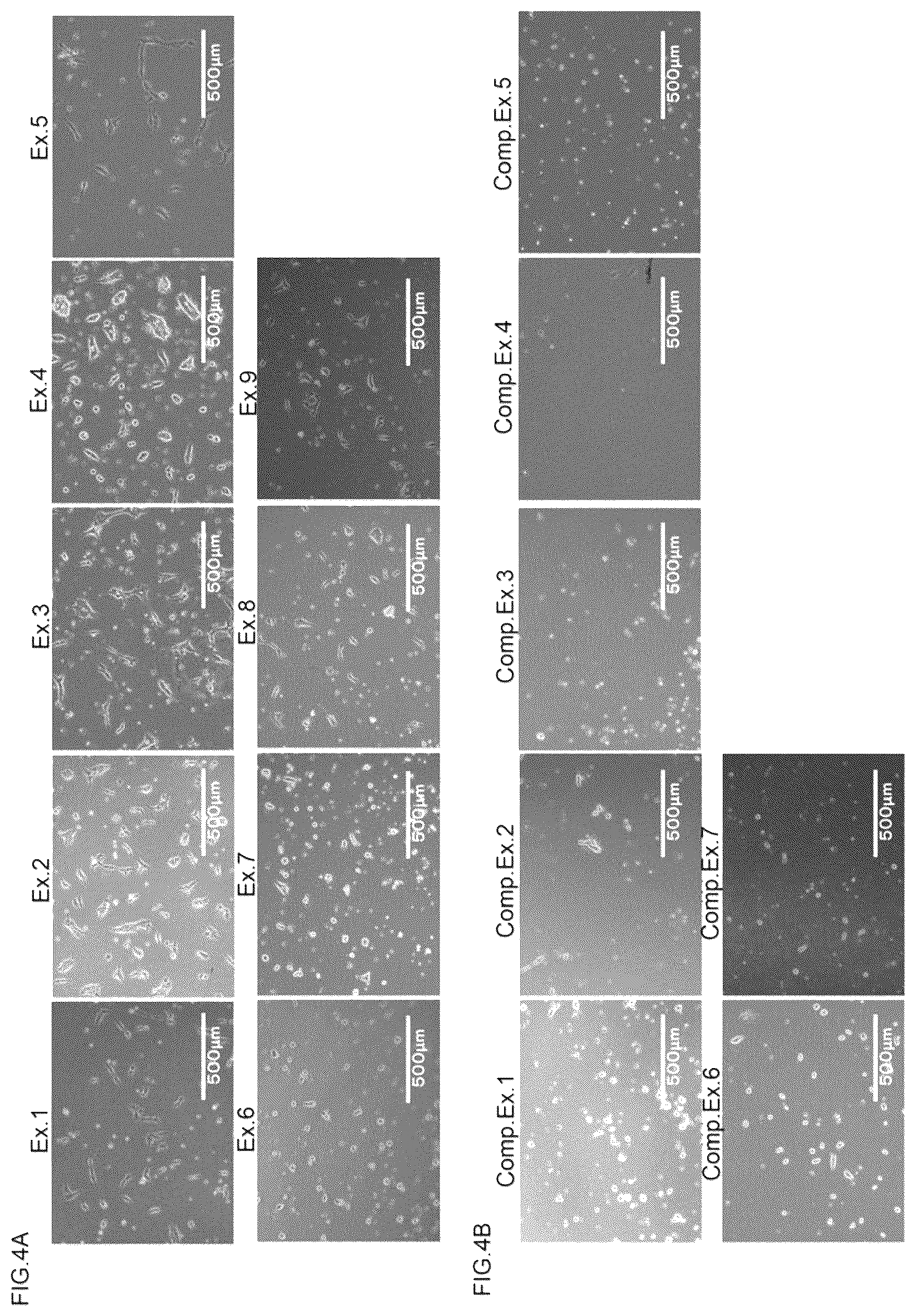 Patent US12157875 Figure 4 – Scaffolding material for cell cultures and cell culture method using same