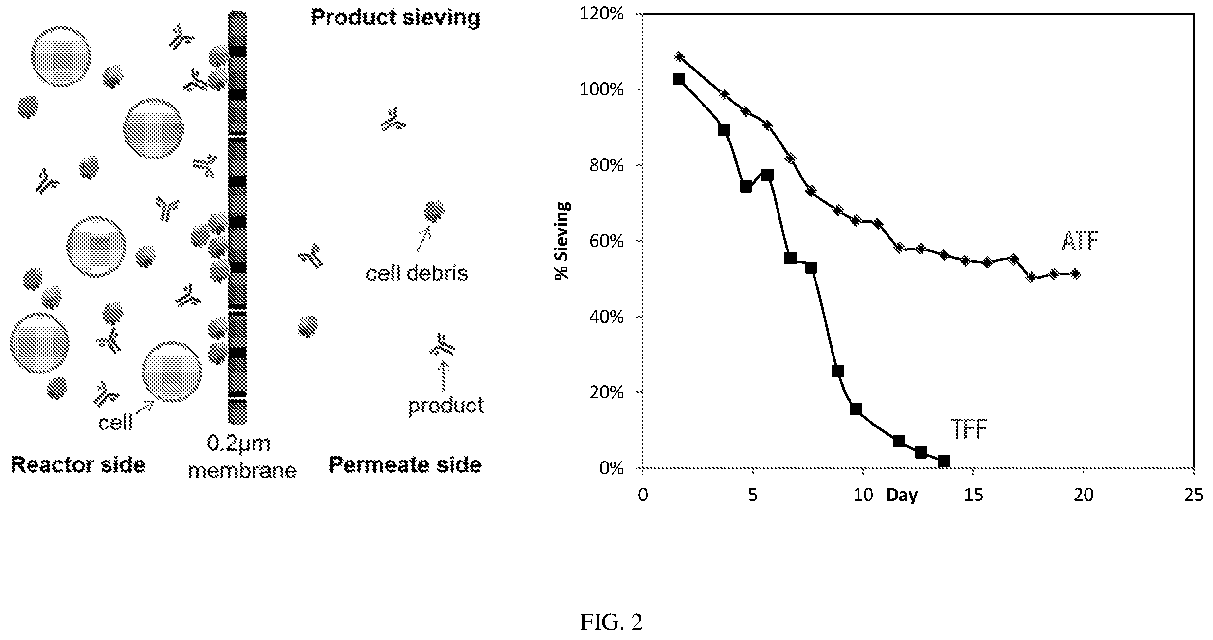 Patent US12157877 Figure 2 – Cell retention device and method