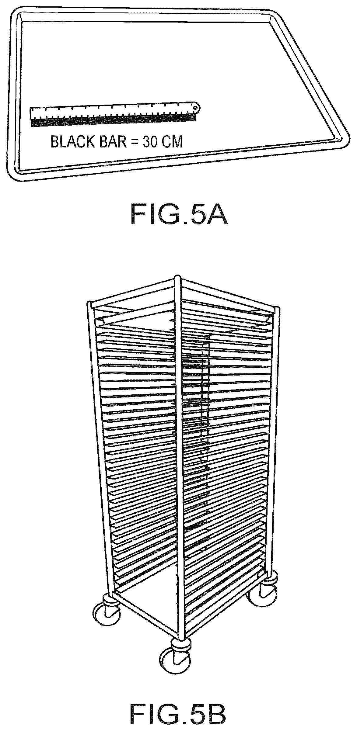 Patent US12157880 Figure 3 – Filamentous fungal biomats, methods of their production and methods of their use