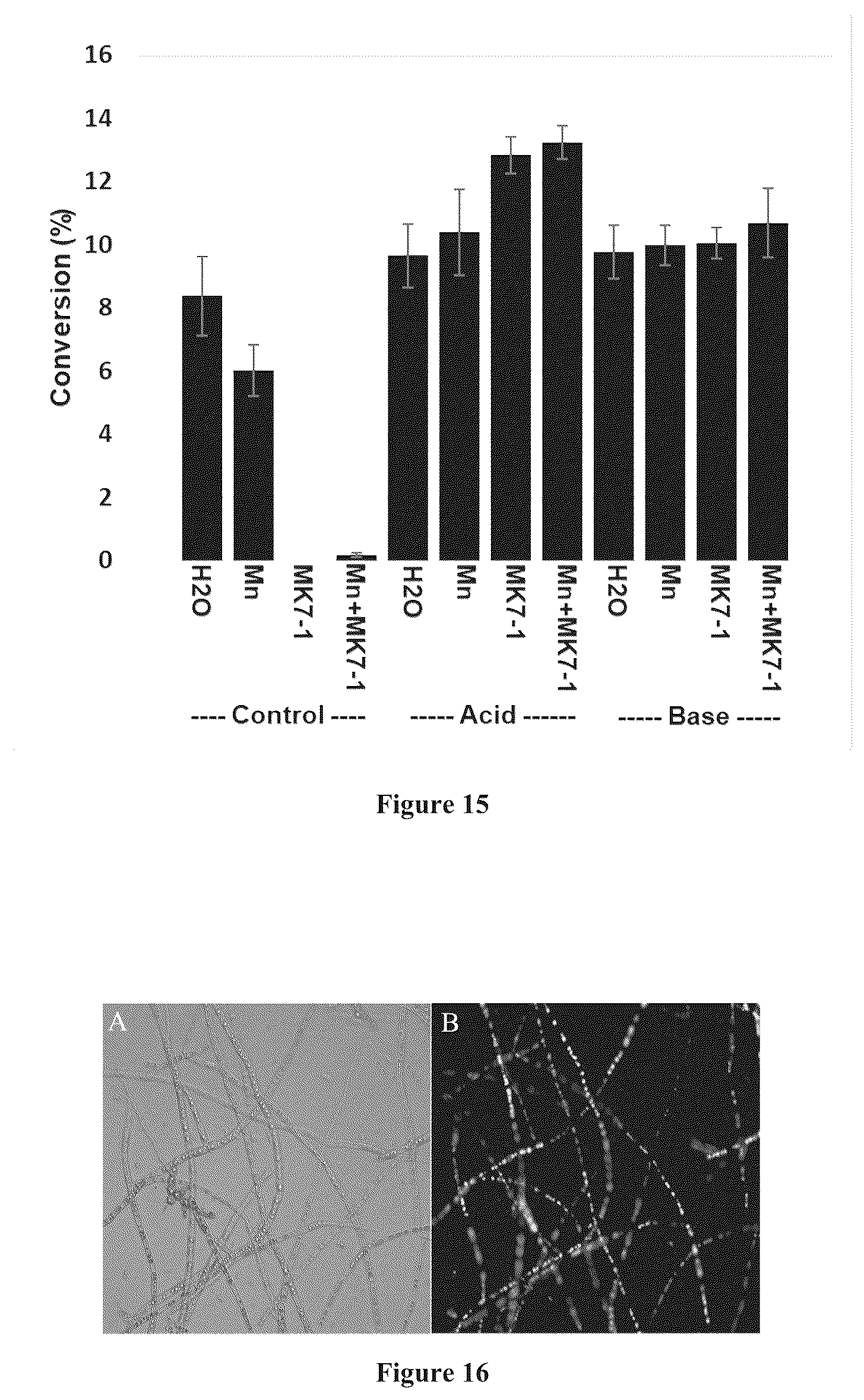 Patent US12157880 Figure 12 – Filamentous fungal biomats, methods of their production and methods of their use