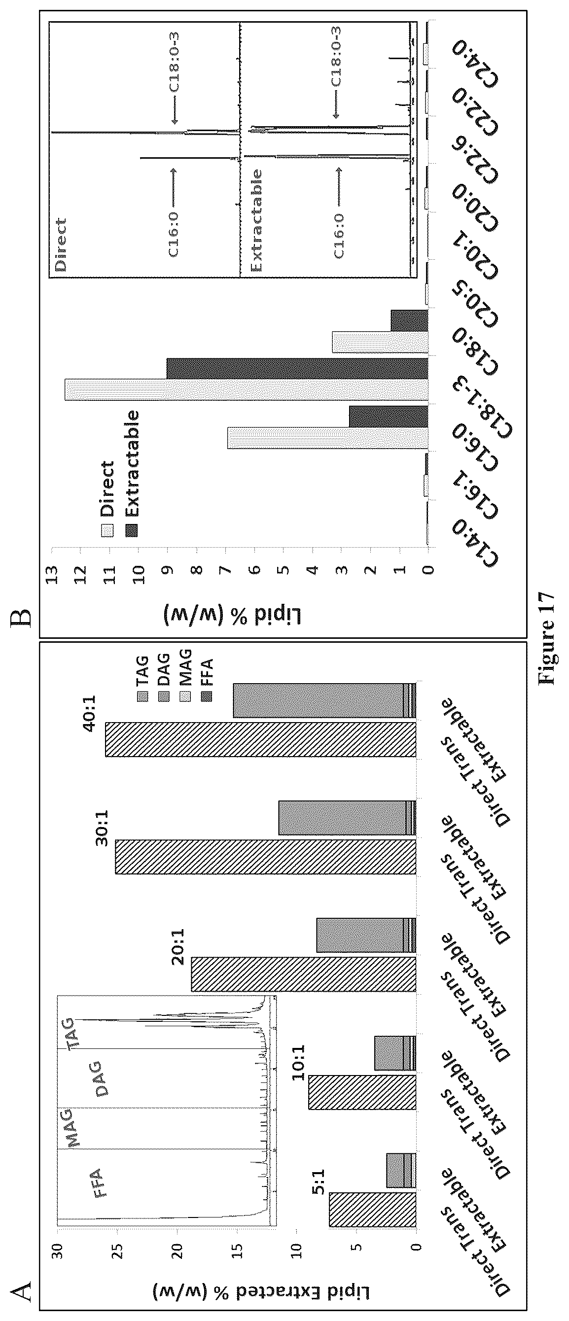 Patent US12157880 Figure 13 – Filamentous fungal biomats, methods of their production and methods of their use