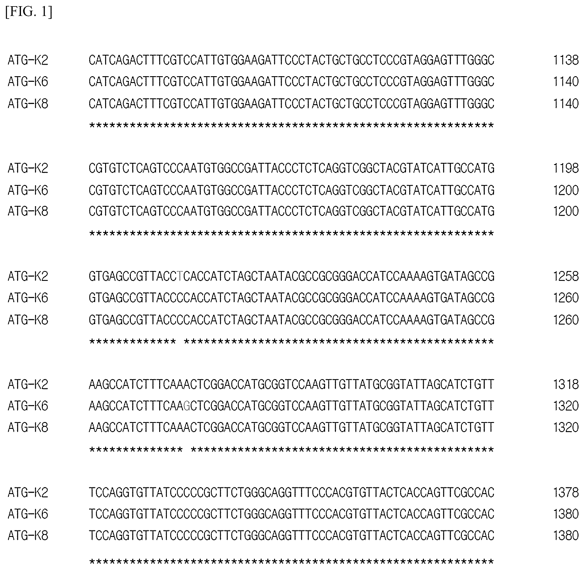 Patent US12157882 Figure 1 – Lactobacillus plantarum strain ATG-K2, ATG-K6 or ATG-K8, and composition for preventing or treating vaginitis comprising same