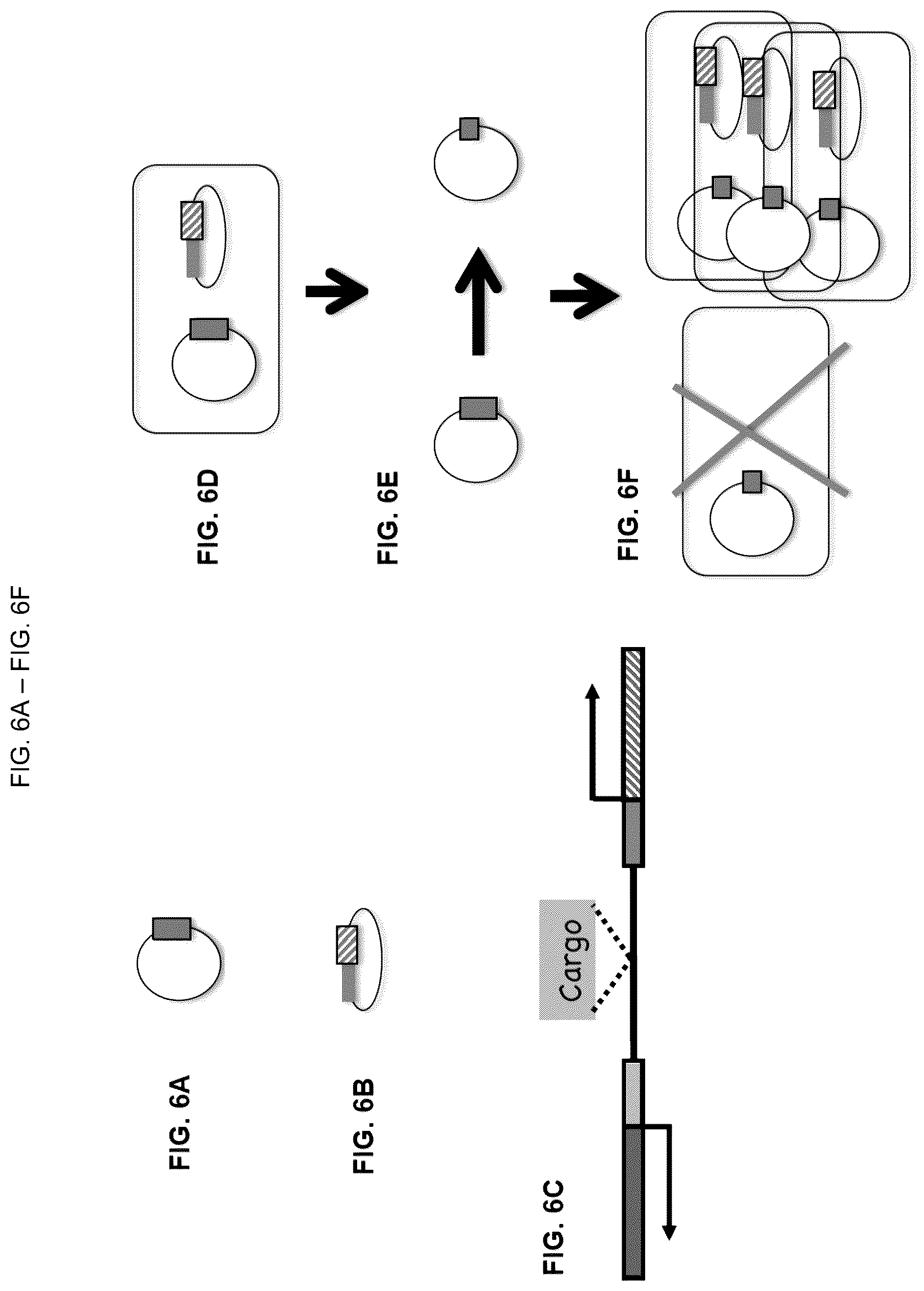 Patent US12157883 Figure 16 – DNA sequence modification-based gene drive