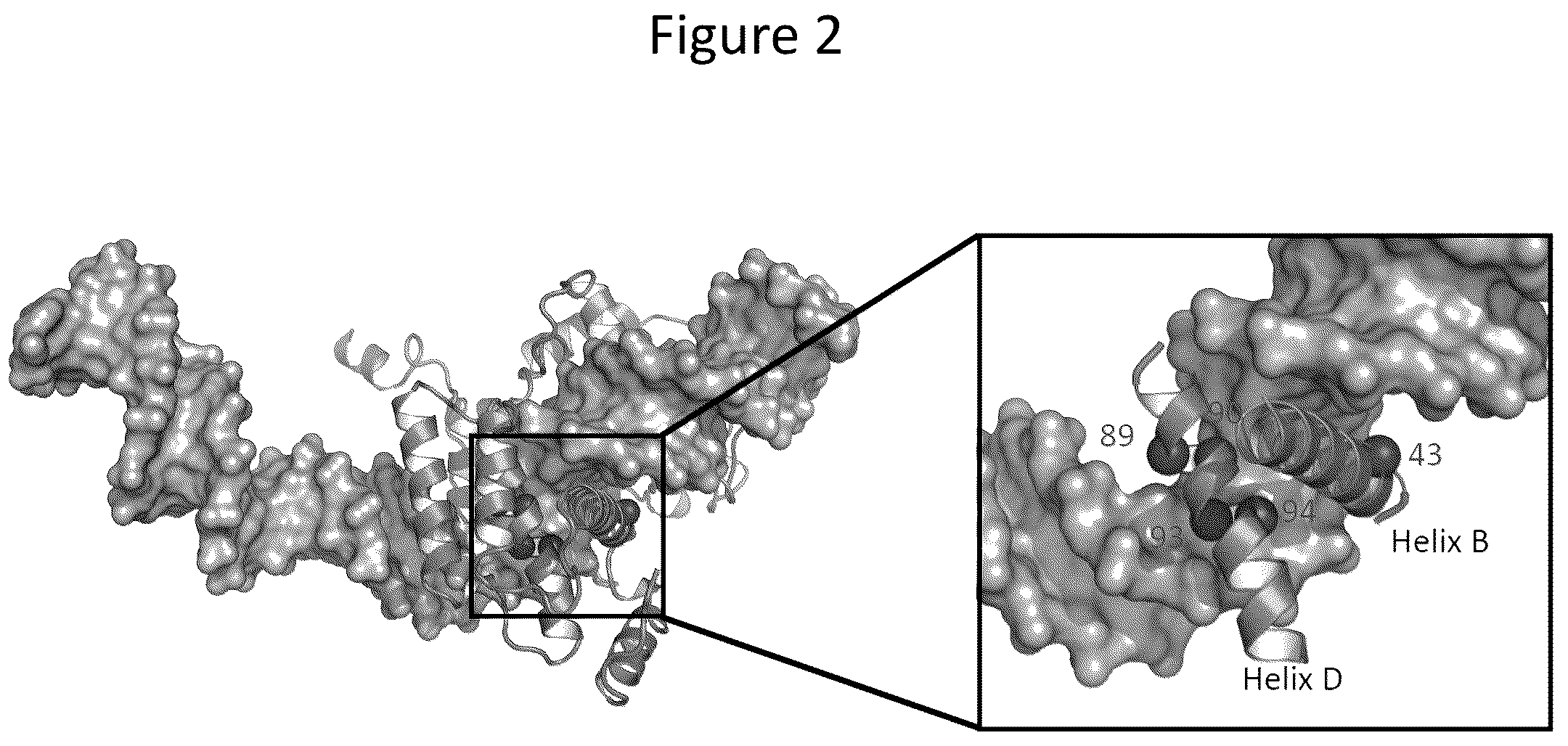 Patent US12157884 Figure 2 – Method of generating targeted DNA libraries