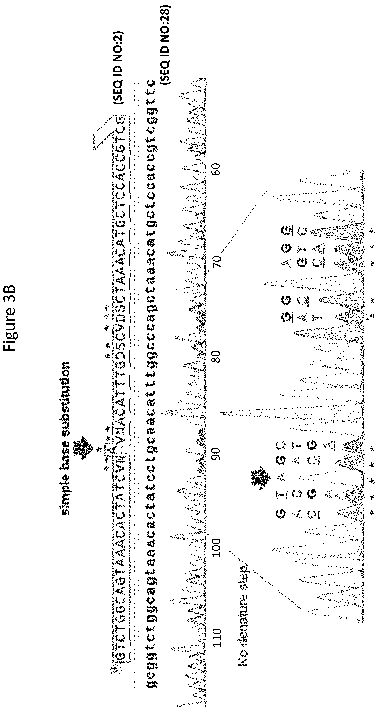 Patent US12157884 Figure 4 – Method of generating targeted DNA libraries