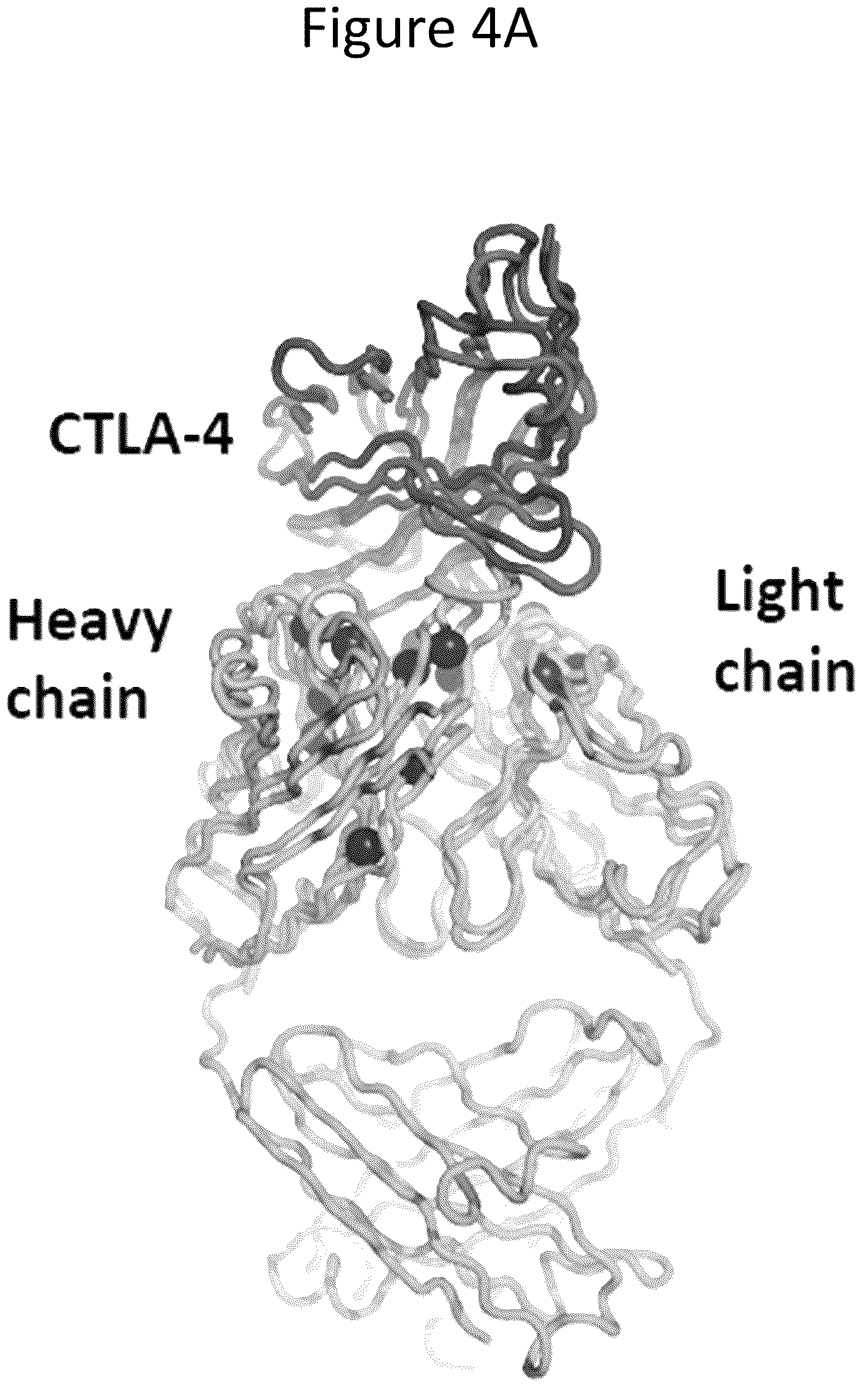 Patent US12157884 Figure 6 – Method of generating targeted DNA libraries
