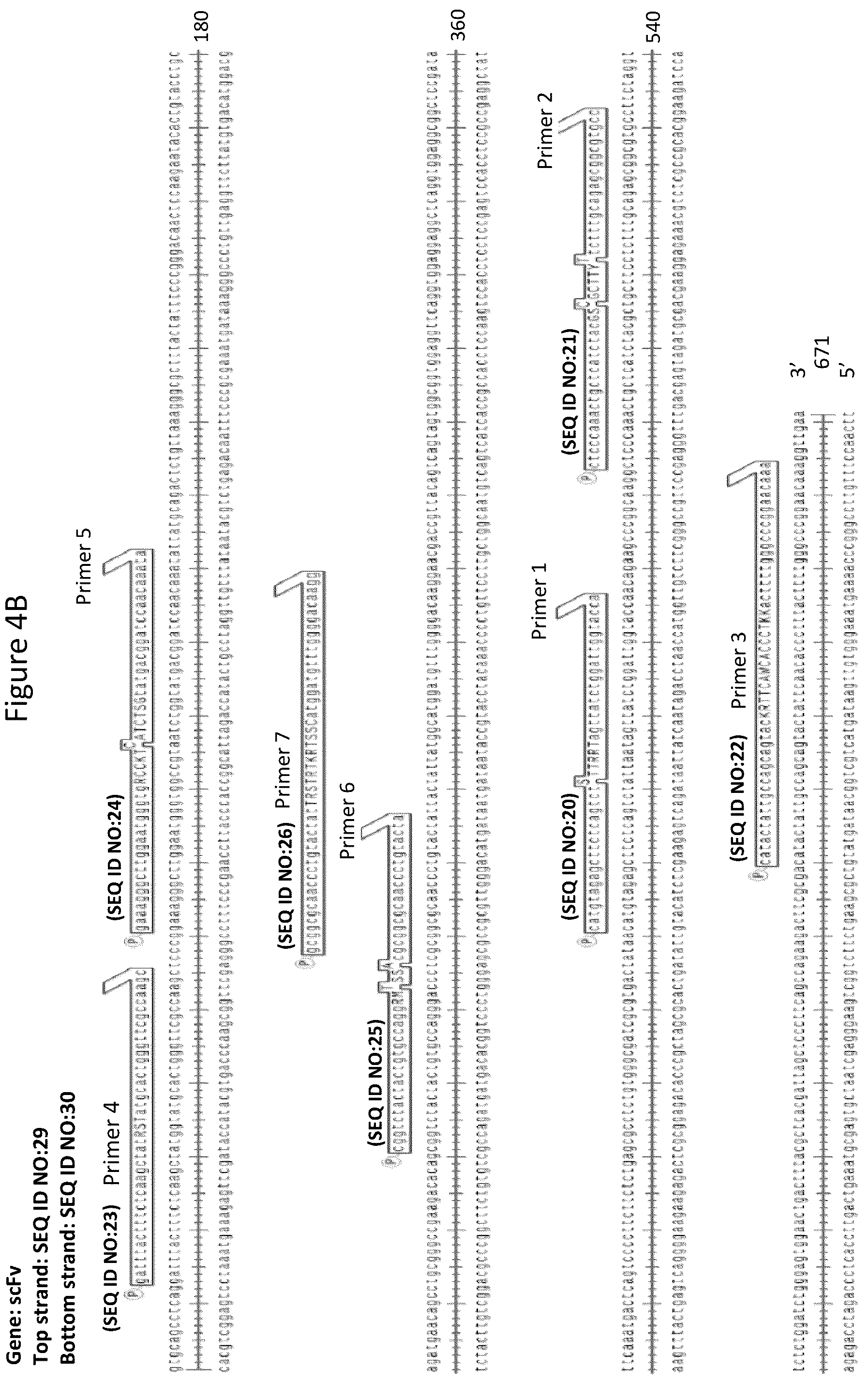 Patent US12157884 Figure 7 – Method of generating targeted DNA libraries