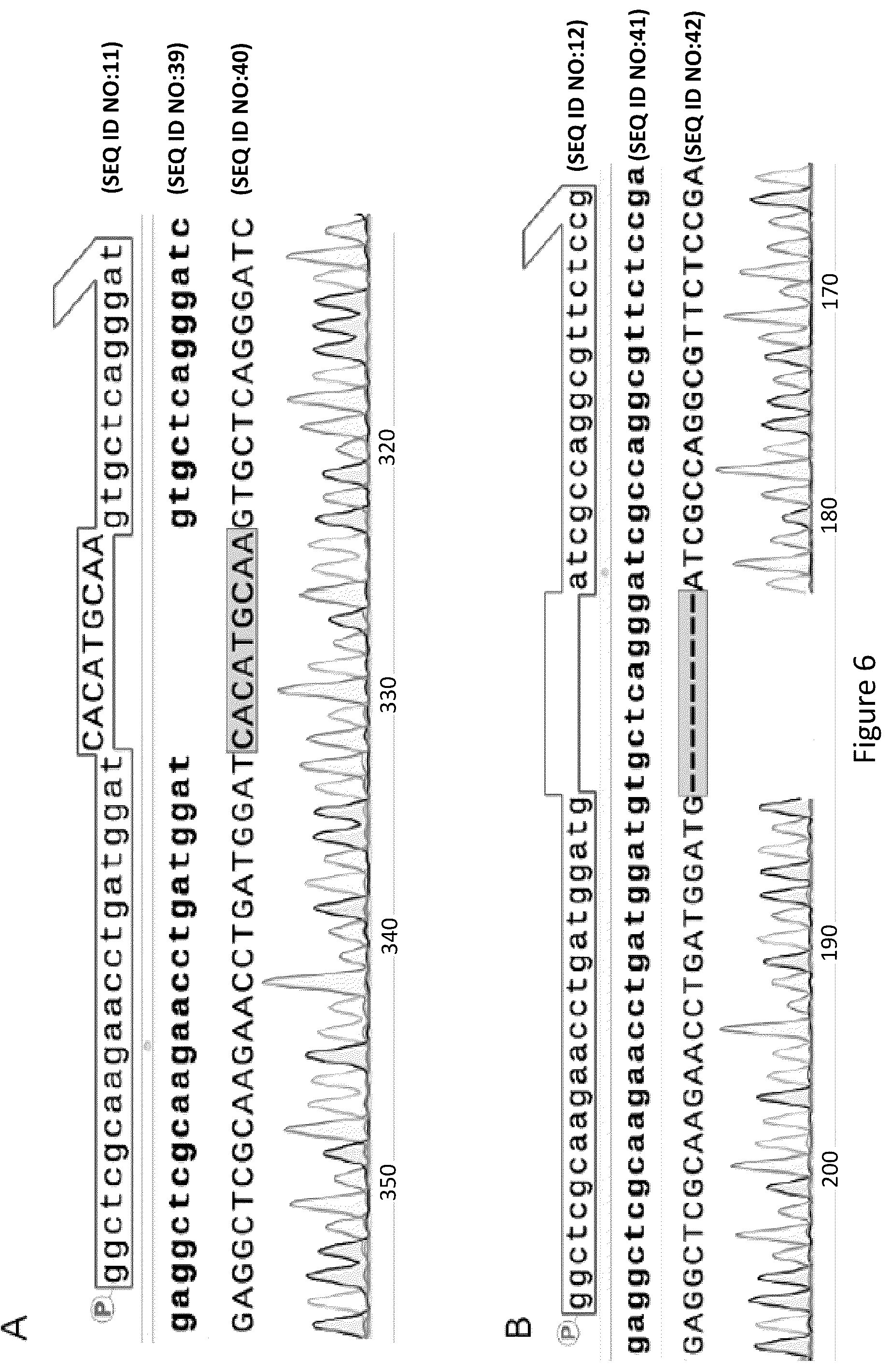 Patent US12157884 Figure 9 – Method of generating targeted DNA libraries