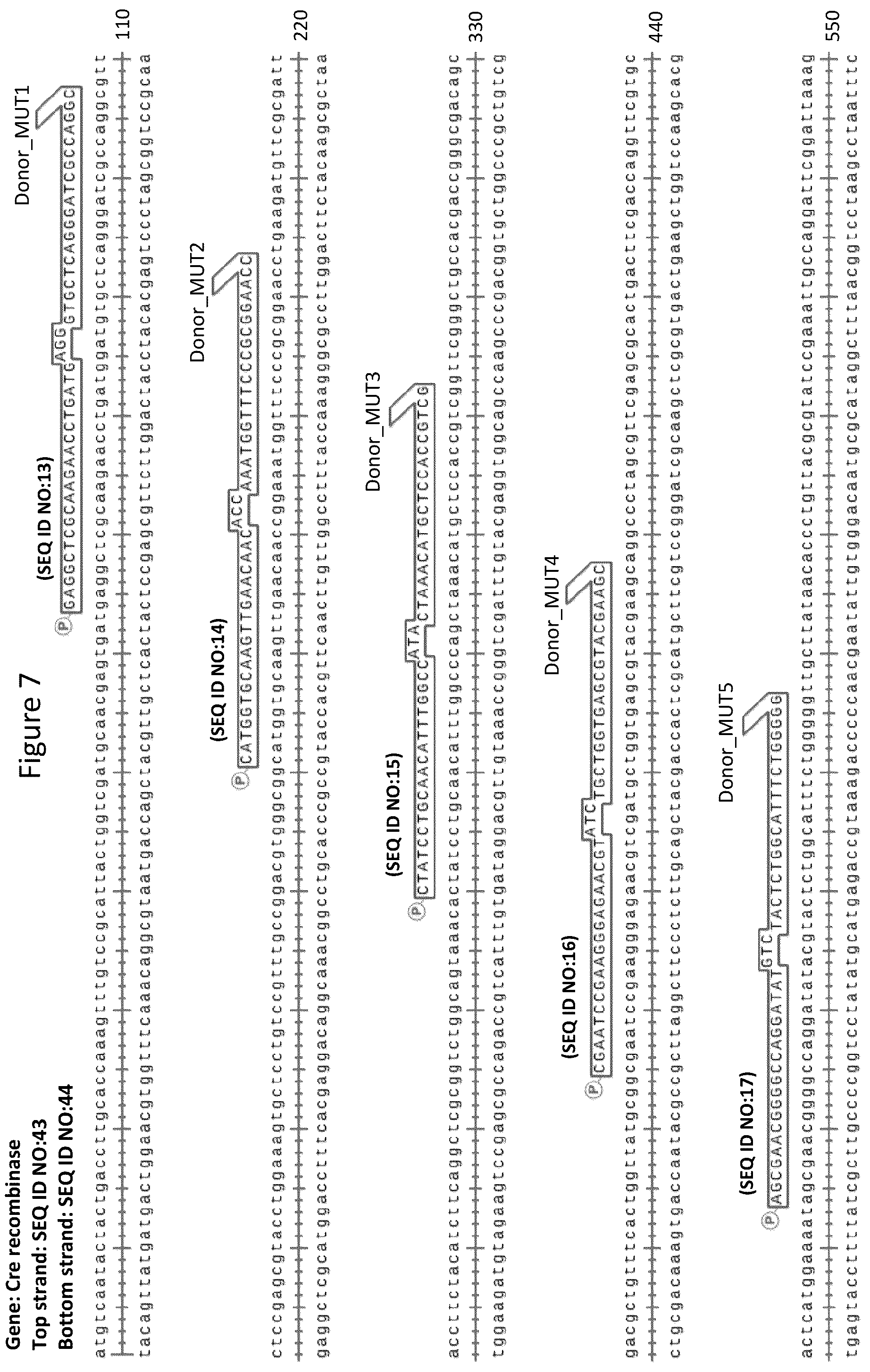 Patent US12157884 Figure 10 – Method of generating targeted DNA libraries