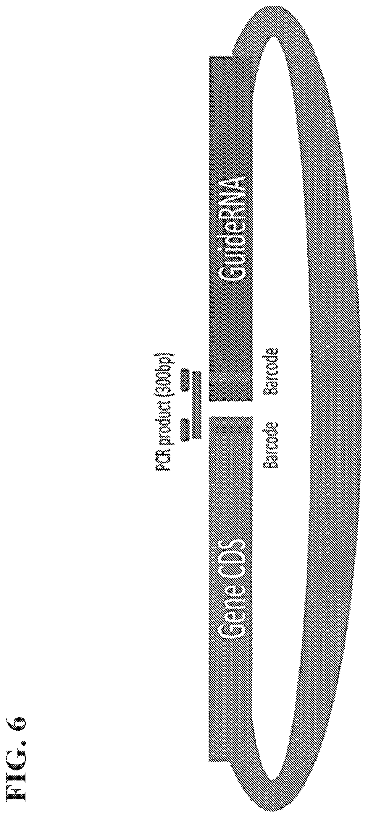 Patent US12157885 Figure 9 – Methods of screening using barcoded libraries