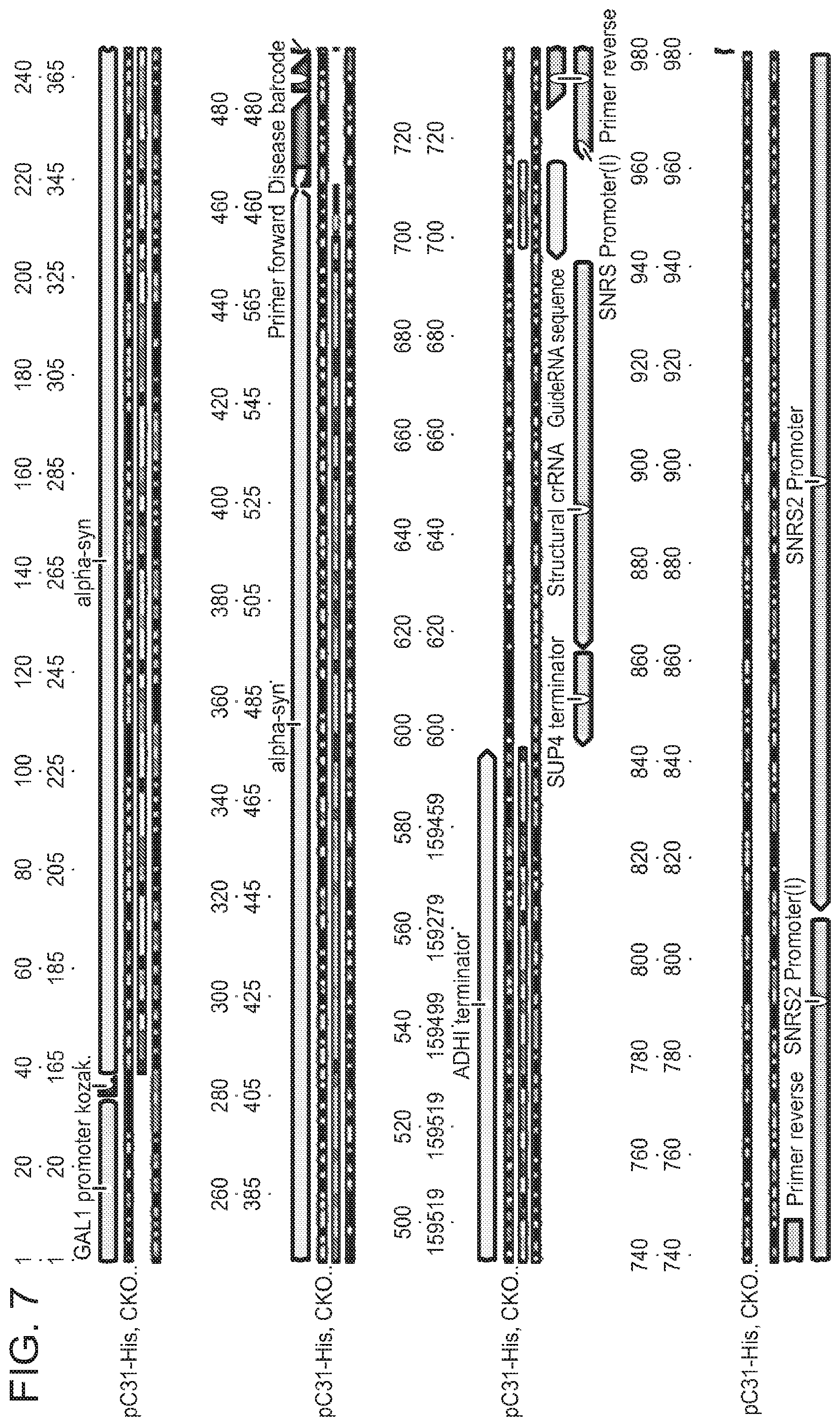 Patent US12157885 Figure 10 – Methods of screening using barcoded libraries
