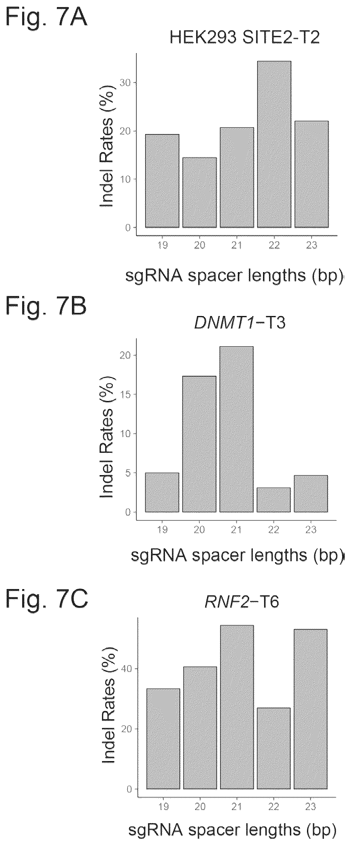 Patent US12157886 Figure 7 – Type II CRISPR/Cas9 genome editing system and the application thereof