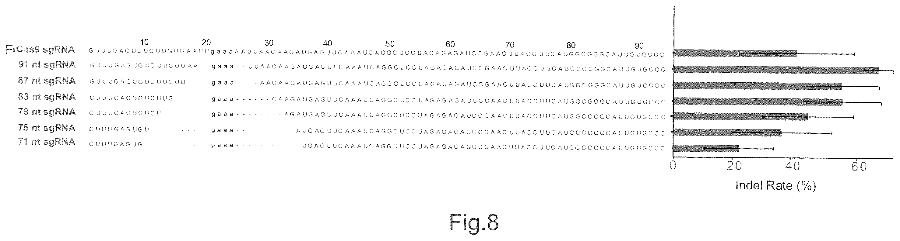 Patent US12157886 Figure 8 – Type II CRISPR/Cas9 genome editing system and the application thereof