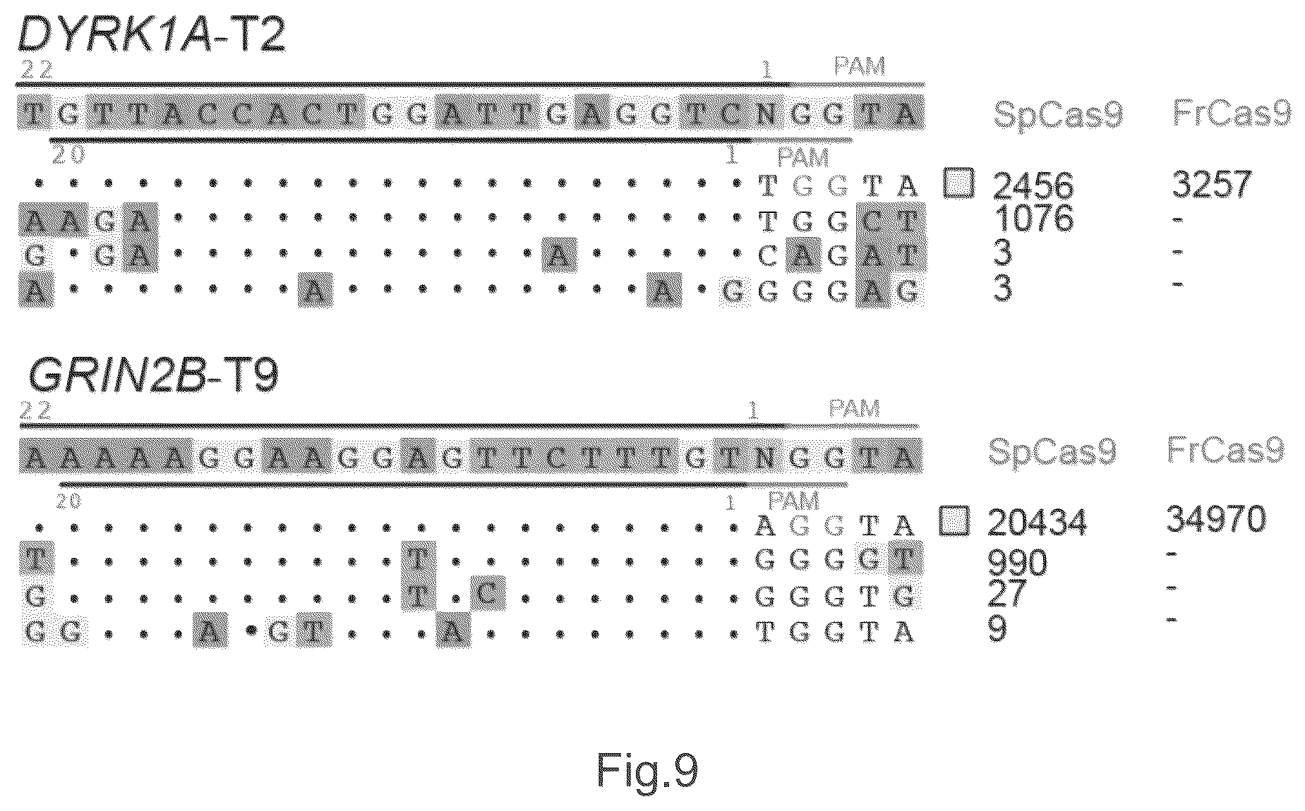 Patent US12157886 Figure 9 – Type II CRISPR/Cas9 genome editing system and the application thereof