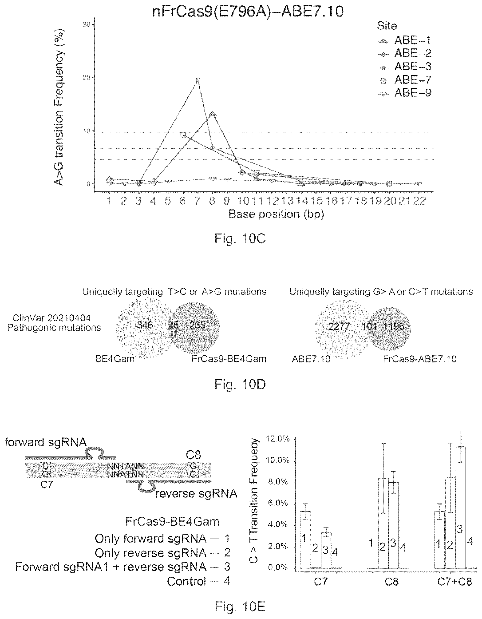 Patent US12157886 Figure 11 – Type II CRISPR/Cas9 genome editing system and the application thereof