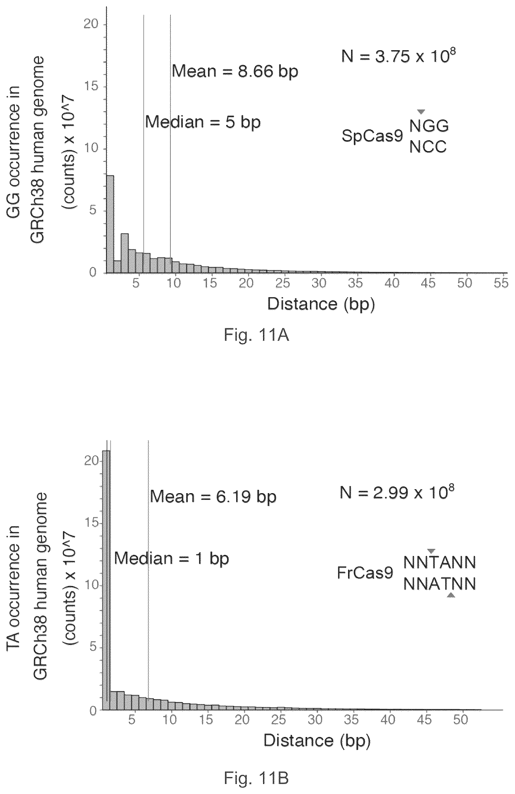 Patent US12157886 Figure 12 – Type II CRISPR/Cas9 genome editing system and the application thereof