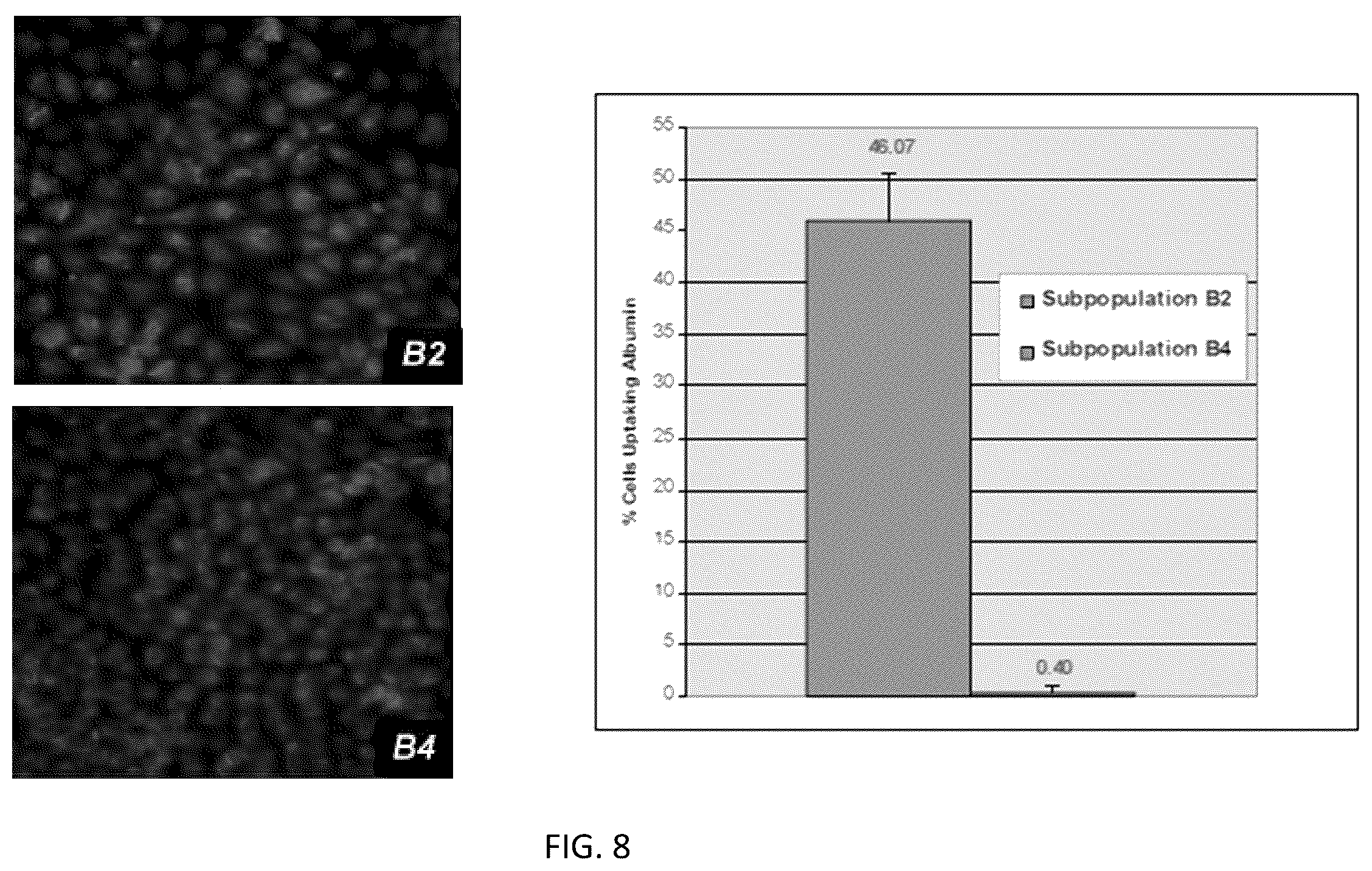 Patent US12157887 Figure 7 – Bioactive renal cells
