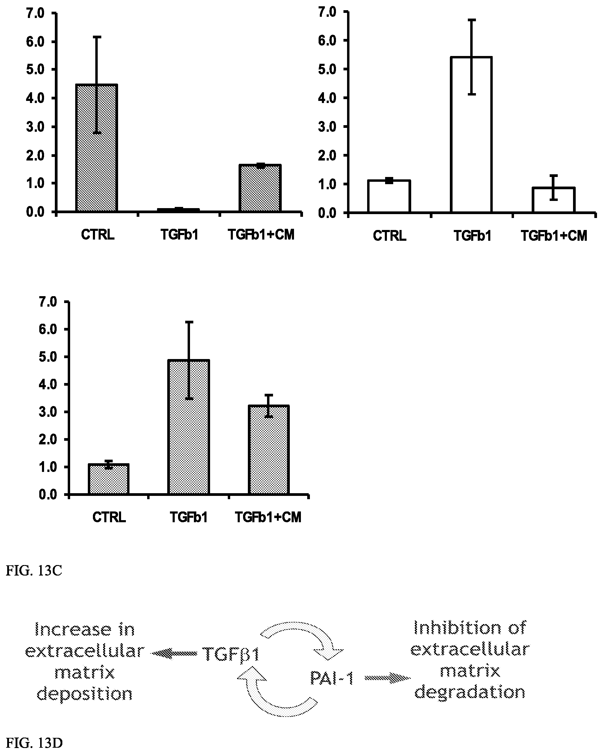 Patent US12157887 Figure 13 – Bioactive renal cells